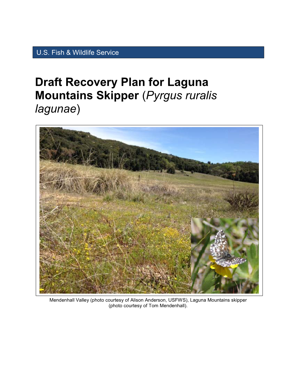 Draft Recovery Plan for Laguna Mountains Skipper (Pyrgus Ruralis Lagunae)