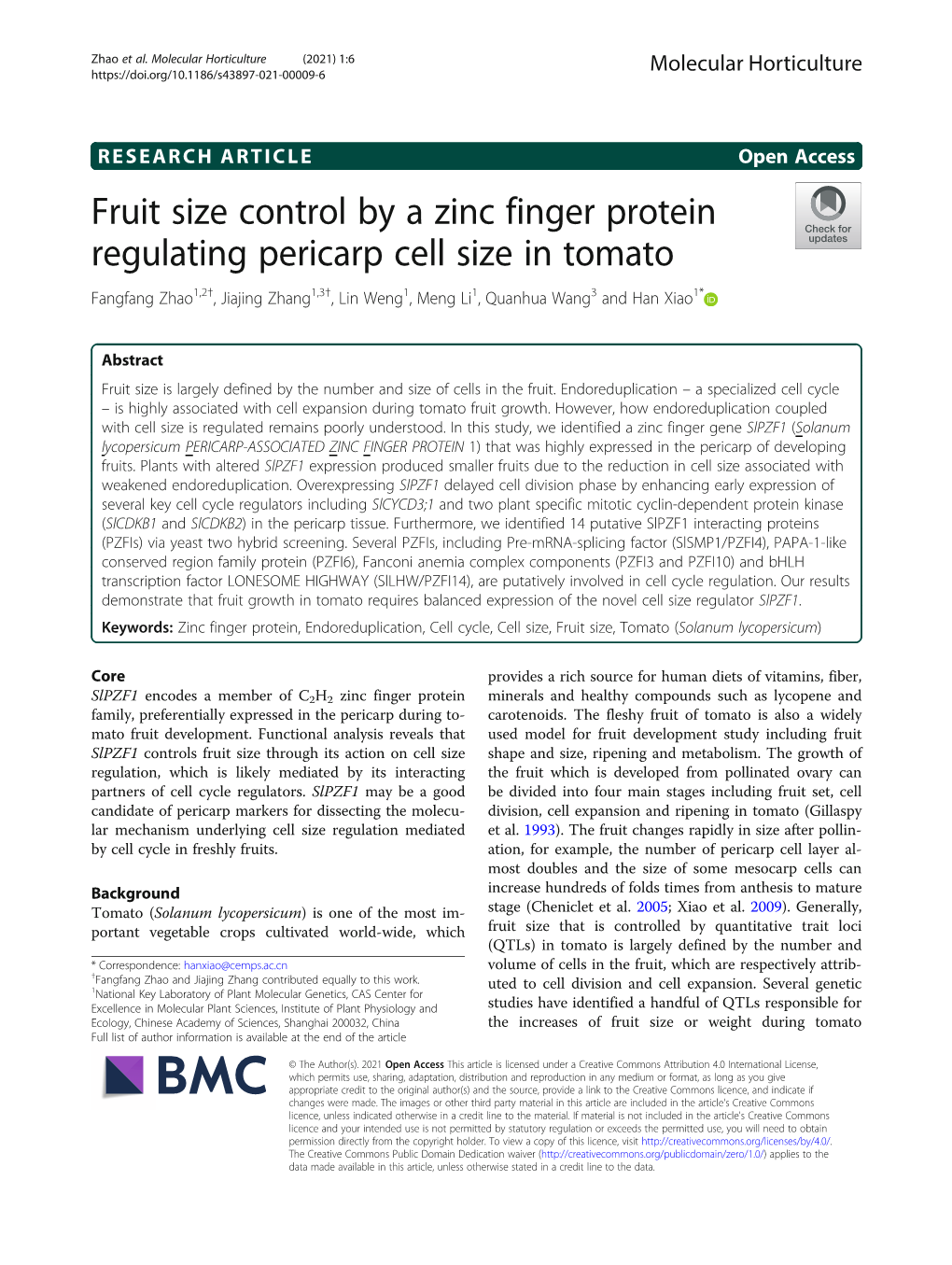 Fruit Size Control by a Zinc Finger Protein Regulating Pericarp Cell Size