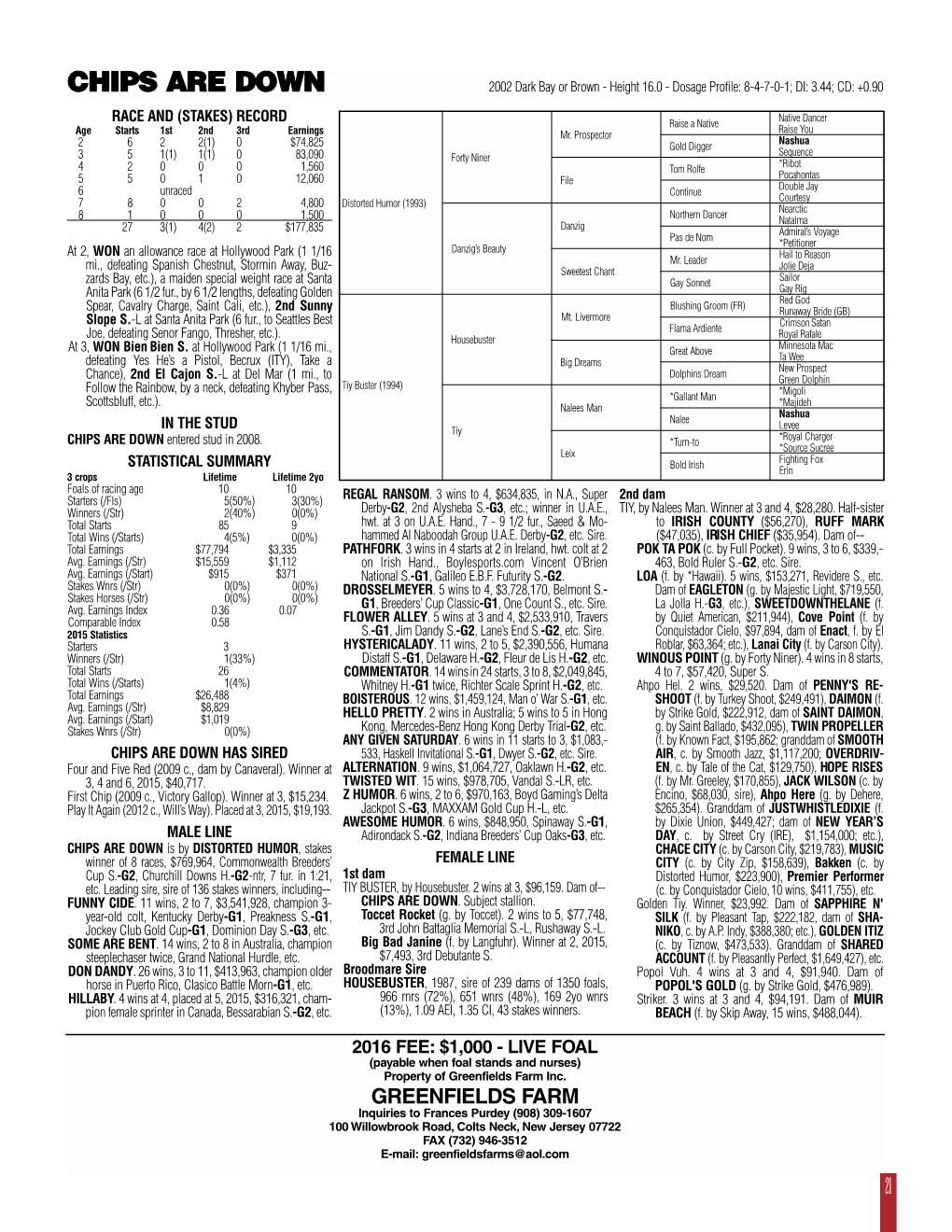 CHIPS ARE DOWN 2002 Dark Bay Or Brown - Height 16.0 - Dosage Profile: 8-4-7-0-1; DI: 3.44; CD: +0.90