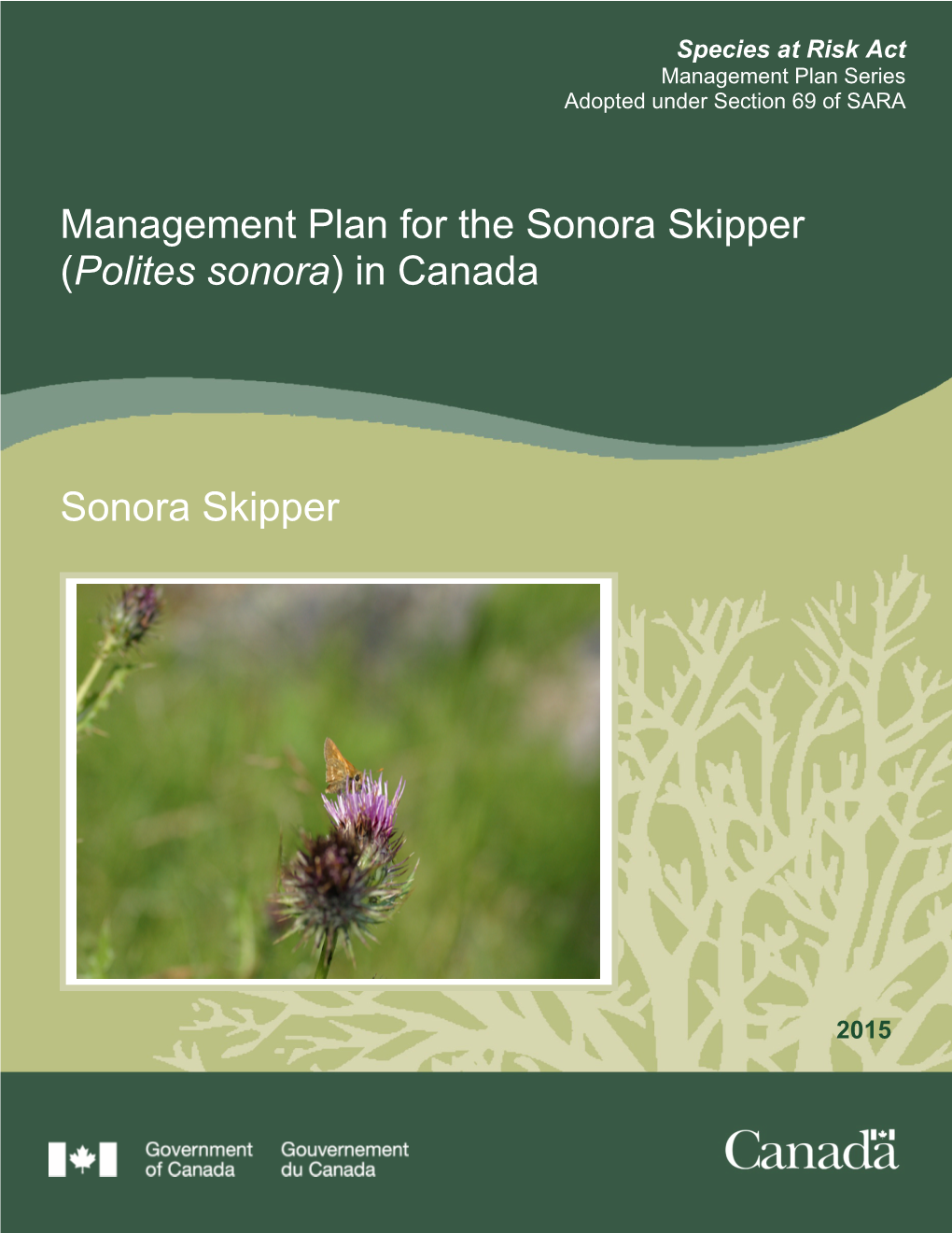 Sonora Skipper (Polites Sonora) in Canada