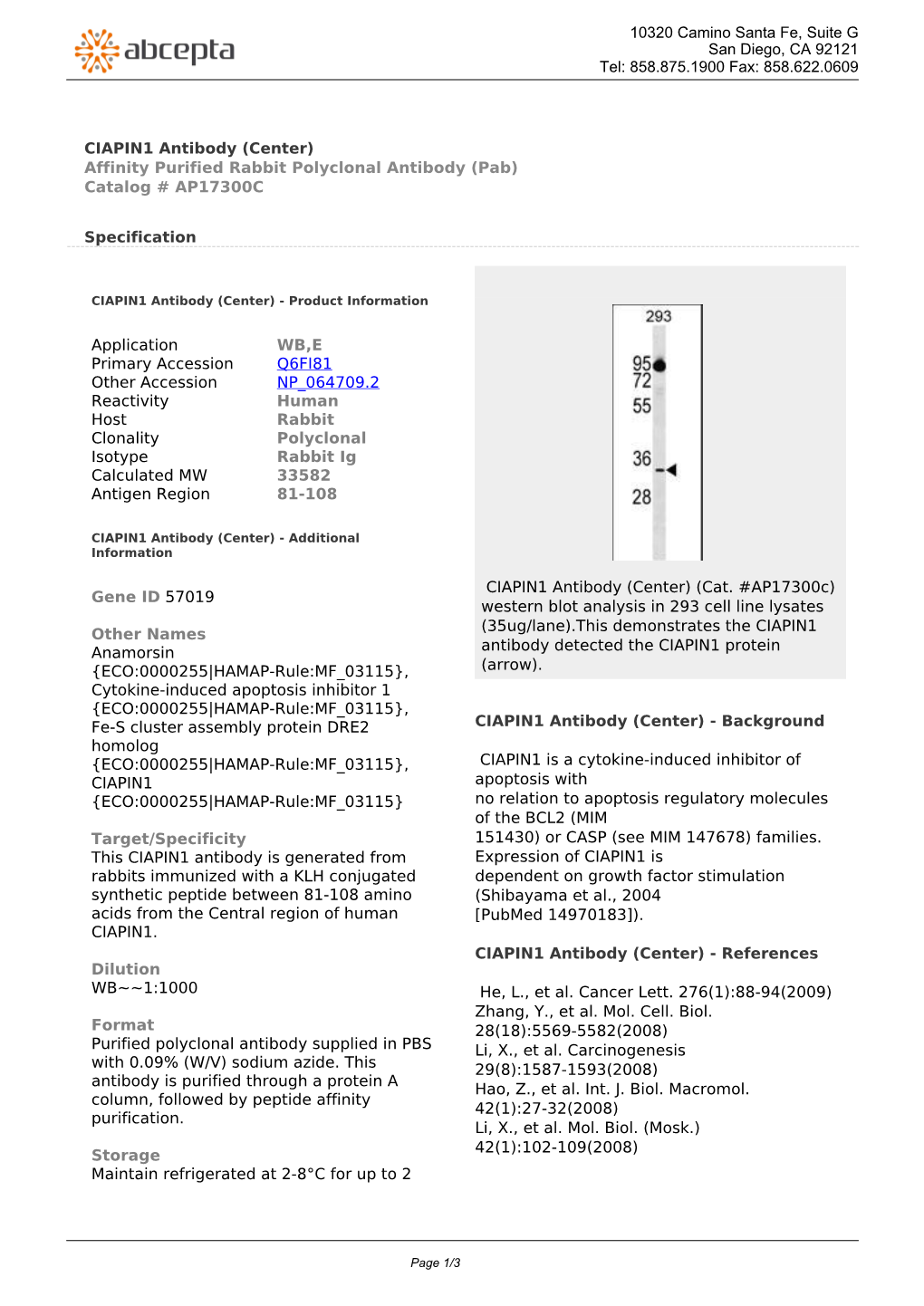 CIAPIN1 Antibody (Center) Affinity Purified Rabbit Polyclonal Antibody (Pab) Catalog # AP17300C