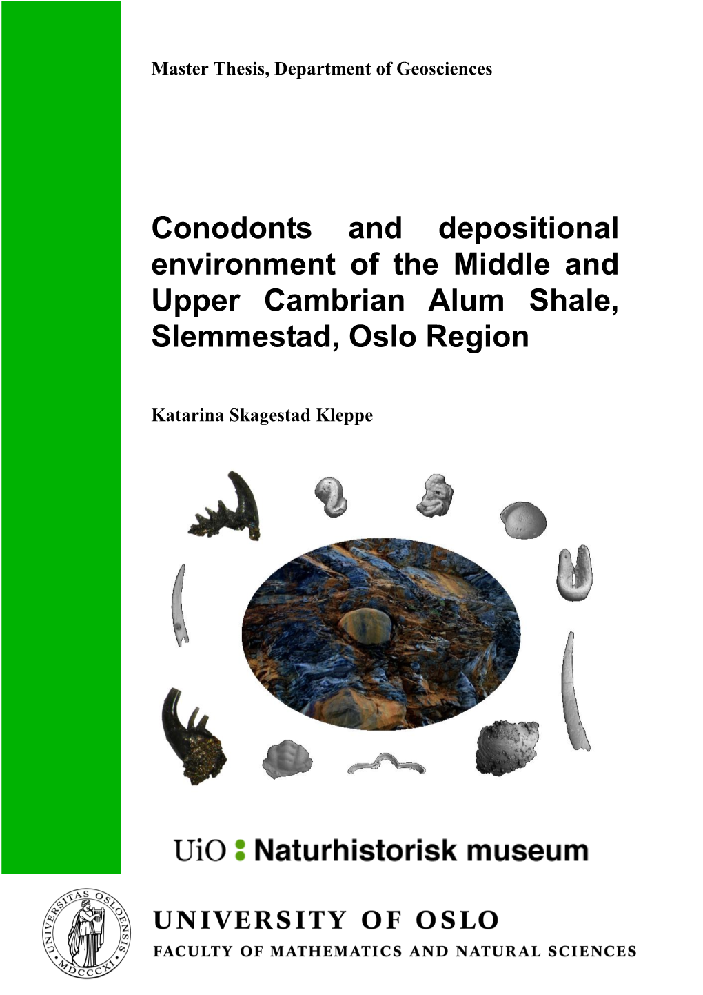 Conodonts and Depositional Environment of the Middle and Upper Cambrian Alum Shale, Slemmestad, Oslo Region
