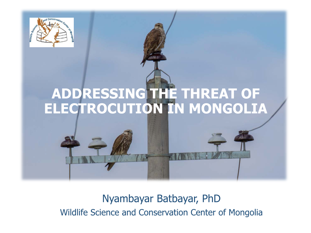 Addressing the Threat of Electrocution in Mongolia