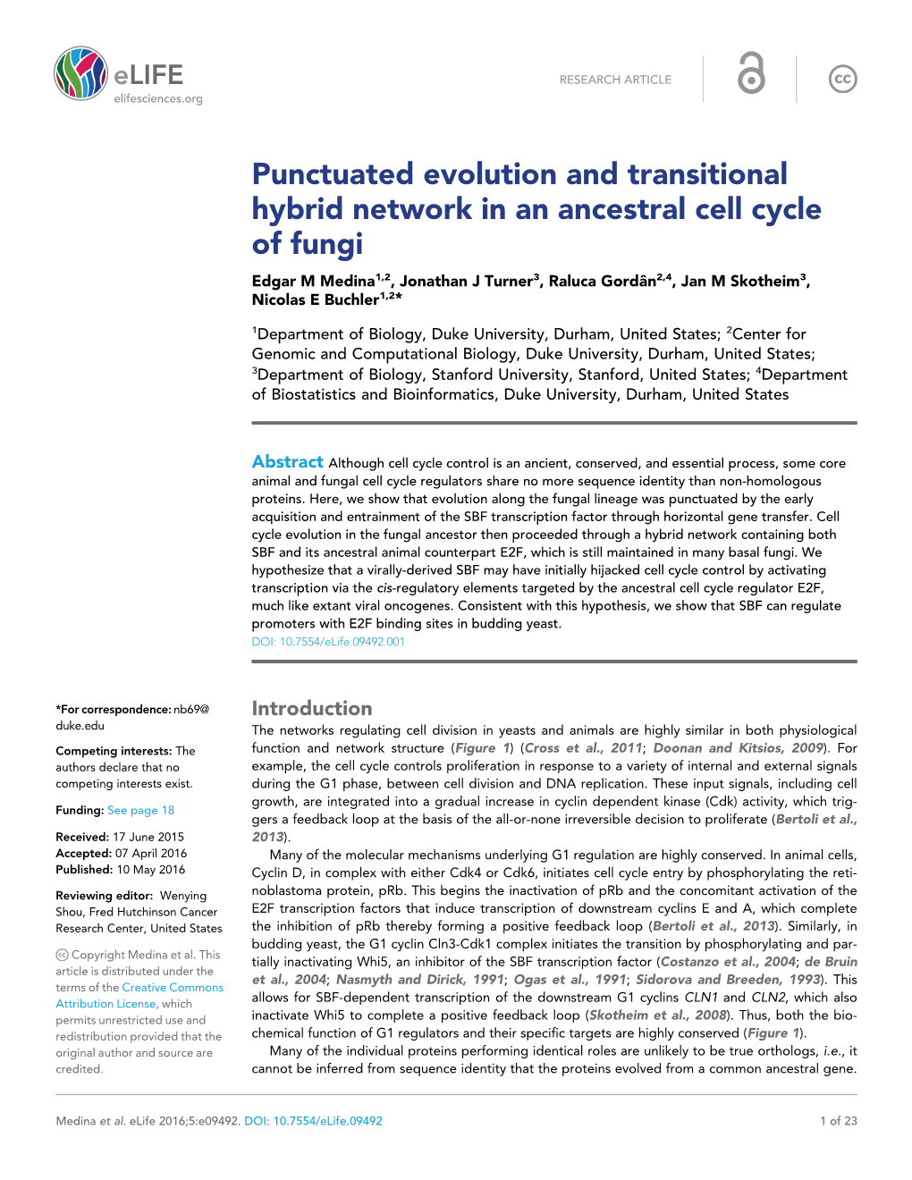 Punctuated Evolution and Transitional Hybrid Network in an Ancestral Cell