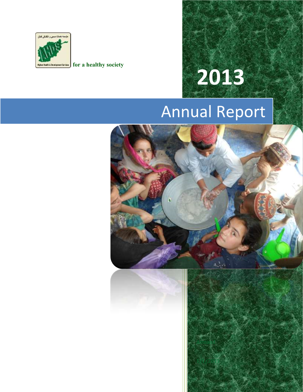 Annual Report 2013.Pdf