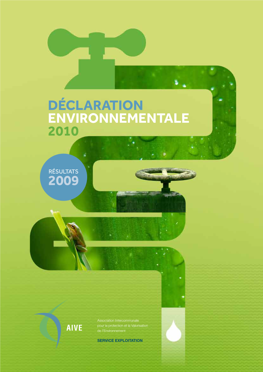 Déclaration Environnementale 2010 2009