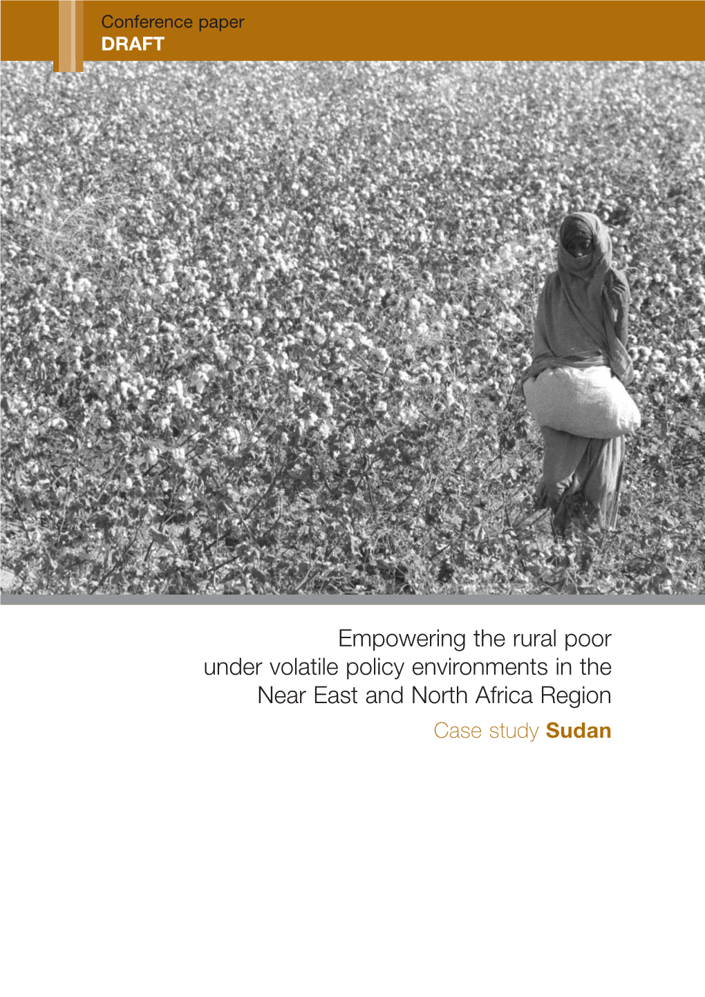 Empowering the Rural Poor Under Volatile Policy Environments in The