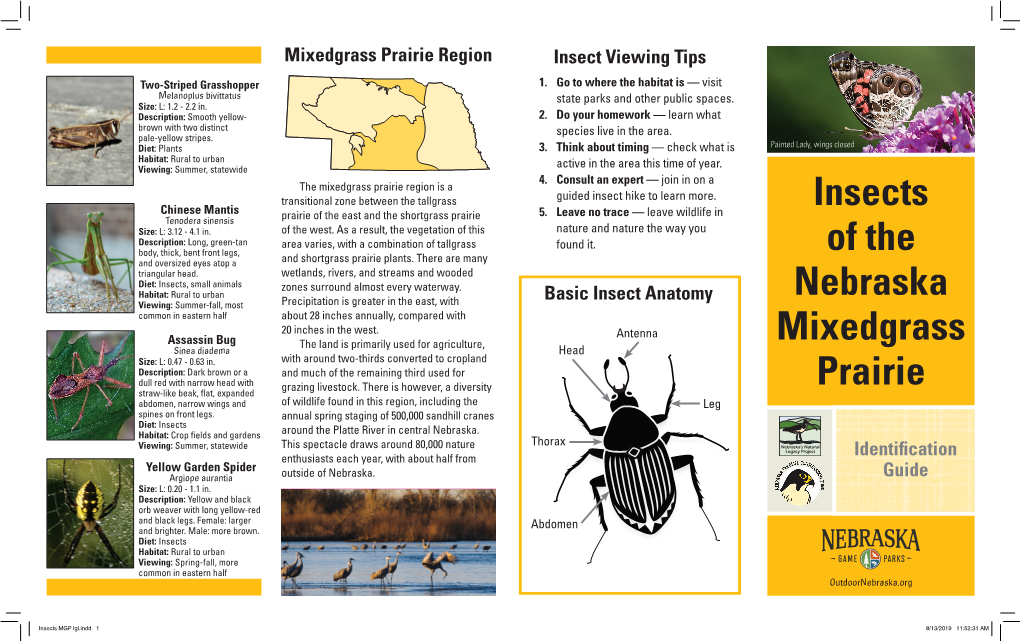 Insects of the Nebraska Mixedgrass Prairie