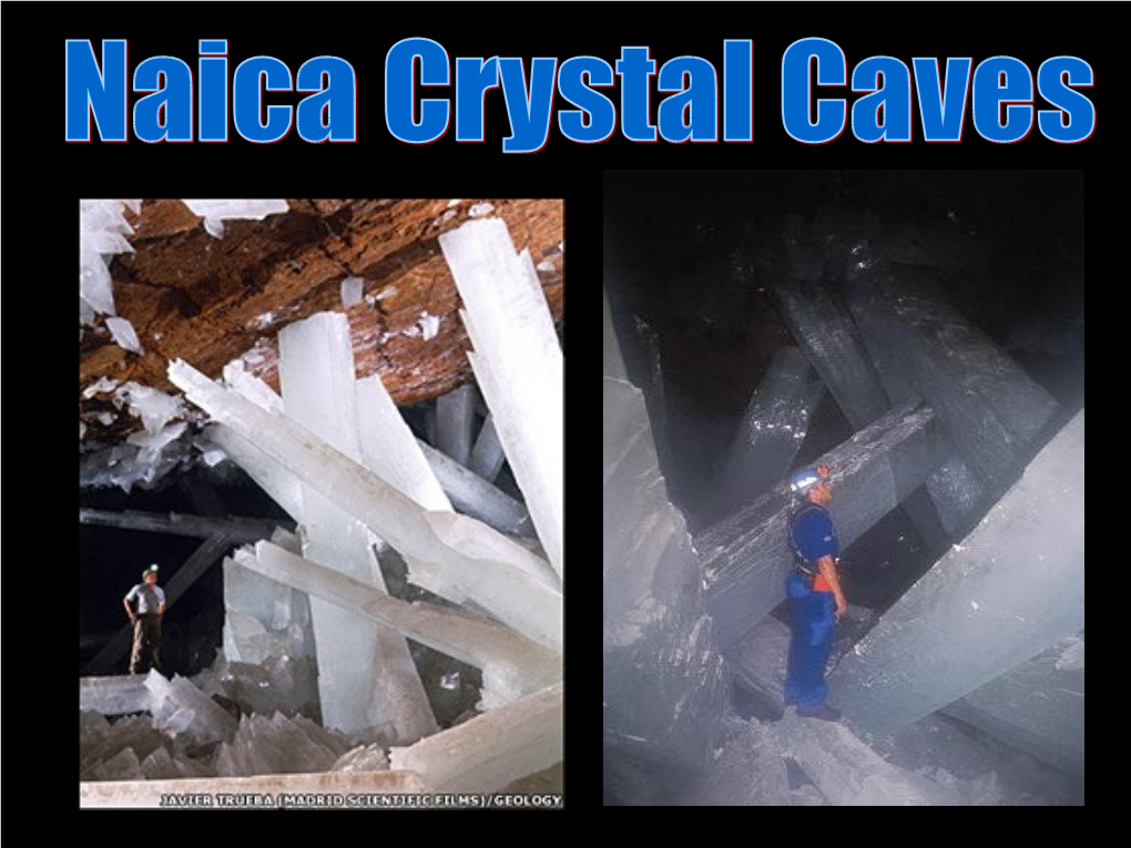Naica Crystal Cave of Giants a Forest of Crystals, the Largest on the Planet