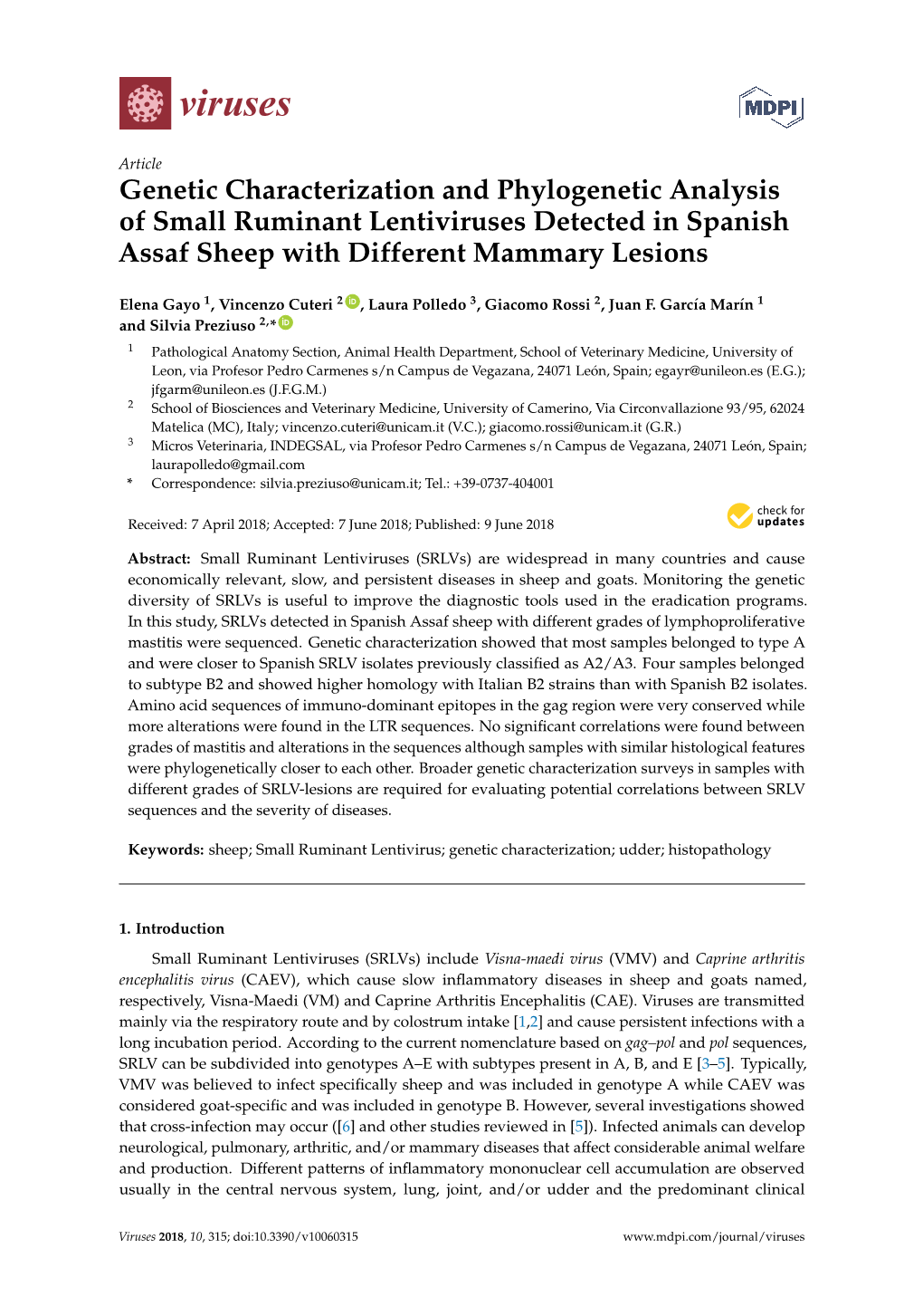 Genetic Characterization and Phylogenetic Analysis of Small Ruminant Lentiviruses Detected in Spanish Assaf Sheep with Different Mammary Lesions