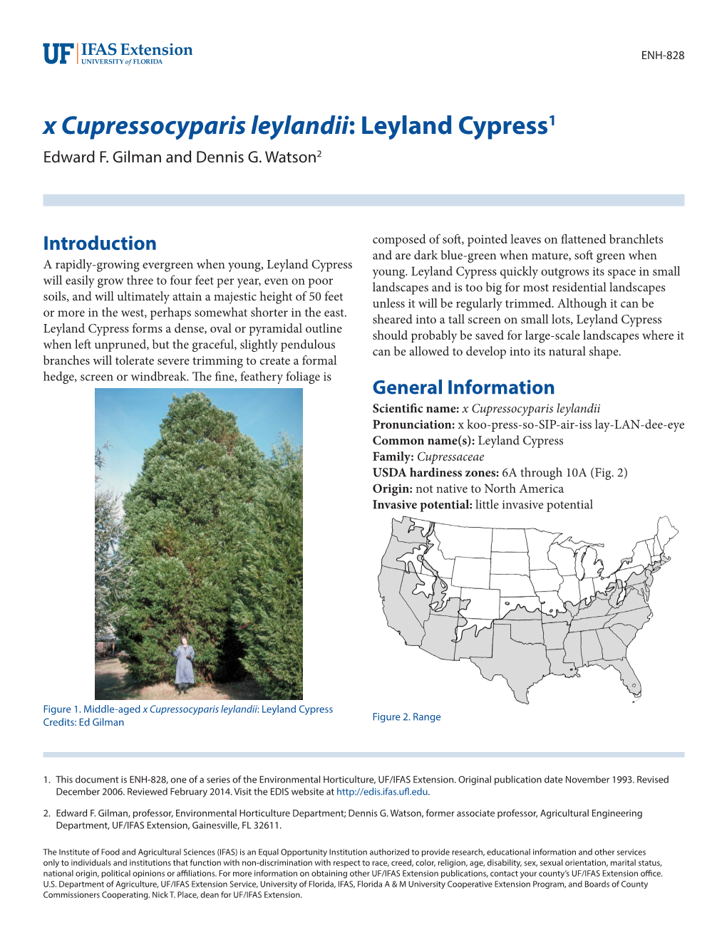 X Cupressocyparis Leylandii: Leyland Cypress1 Edward F