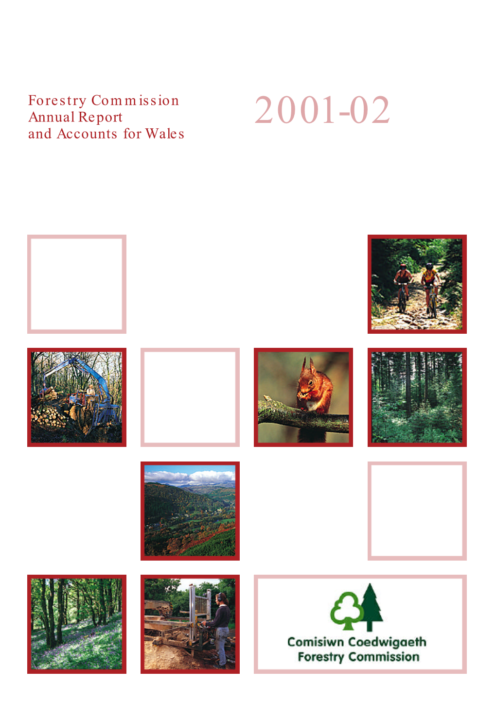 Forestry Commission Annual Report and Accounts for Wales with the Net Funding and Net Worth of FE Buildings - 20 to 60 Years in Wales Reflected in These Accounts