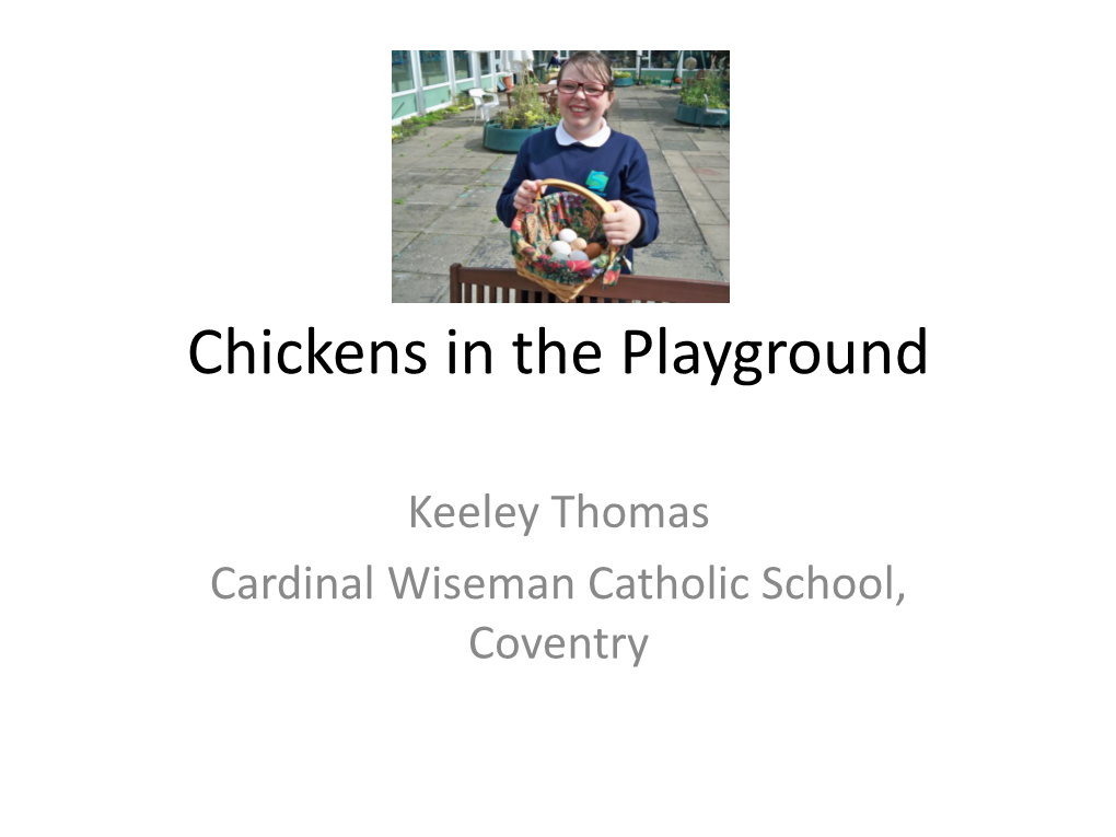 Chickens in the Playground
