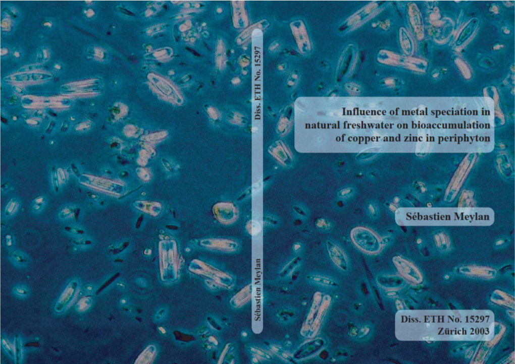 Influence of Metal Speciation in Natural Freshwater on Bioaccumulation of Copper and Zinc in Periphyton Diss