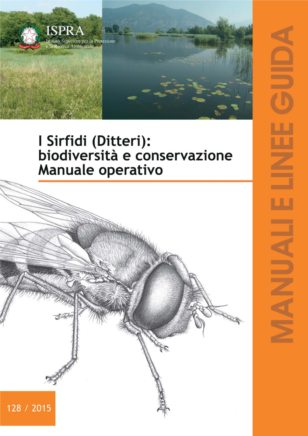 I Sirfidi (Ditteri): Biodiversità E Conservazione