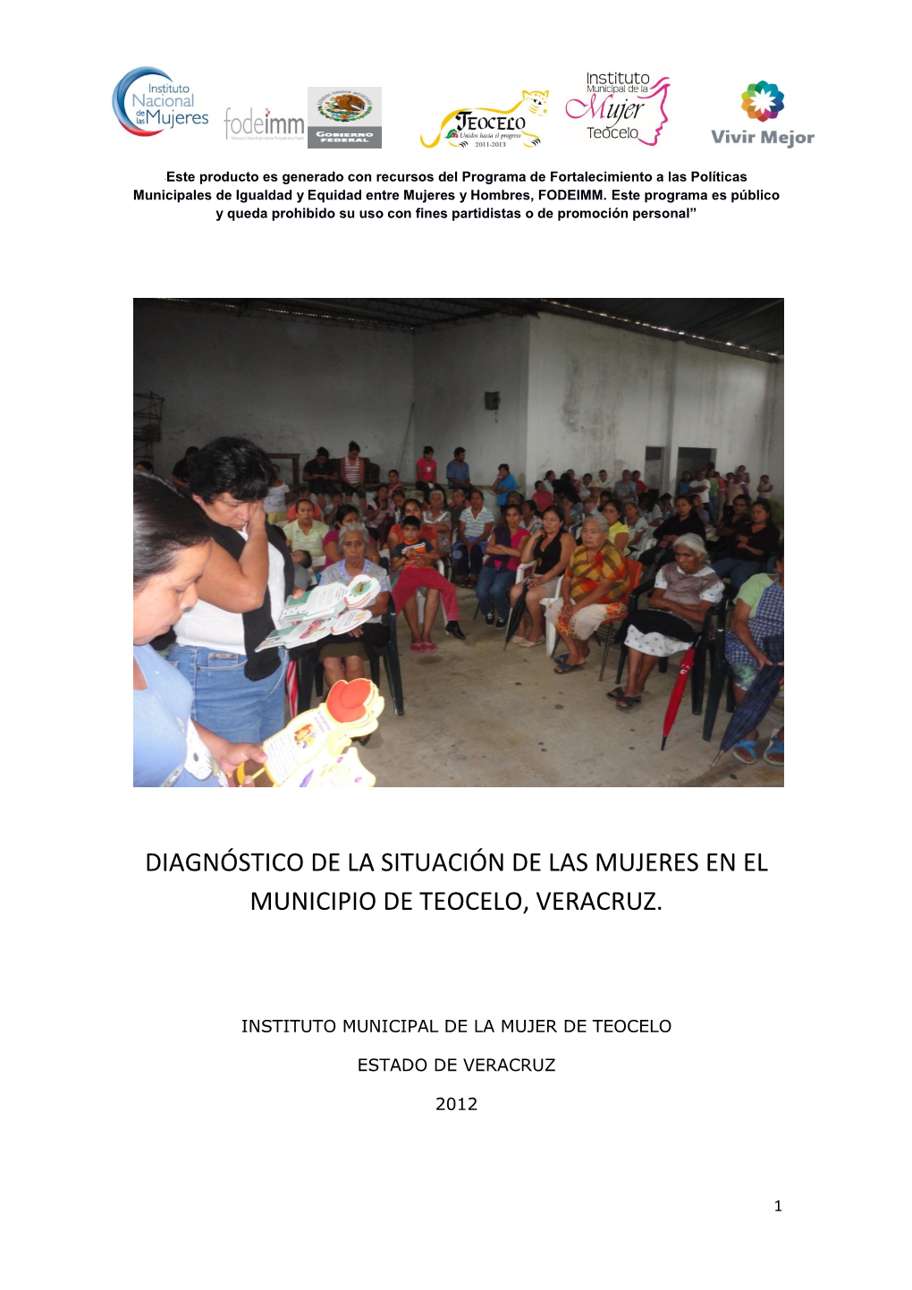 Diagnóstico De La Situación De Las Mujeres En El Municipio De Teocelo, Veracruz