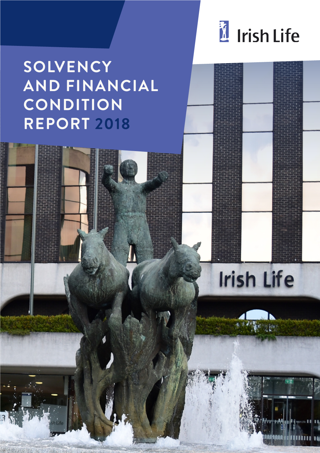 Solvency and Financial Condition Report 2018