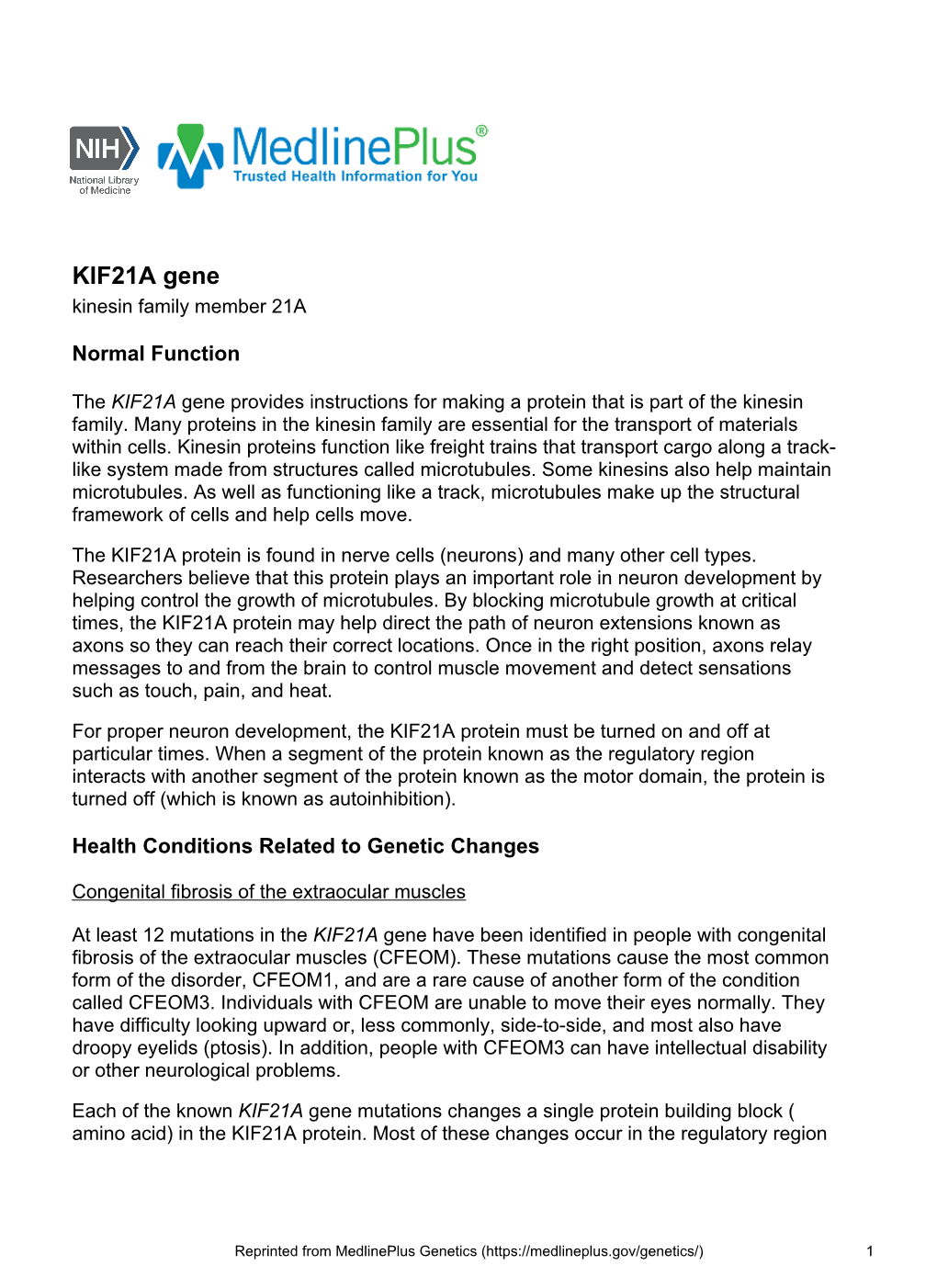 KIF21A Gene Kinesin Family Member 21A