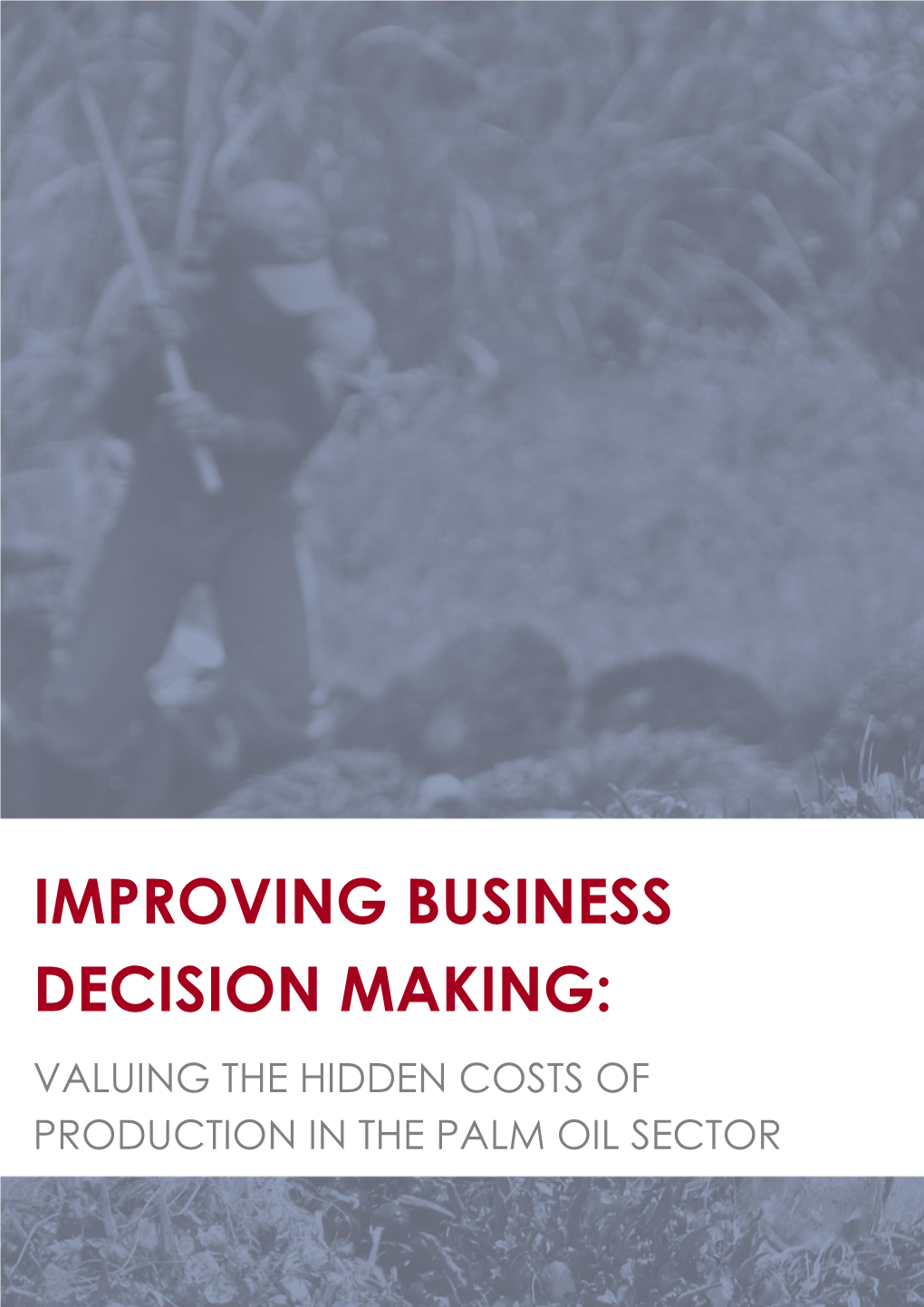Improving Business Decision Making: Valuing the Hidden Costs of Production in the Palm Oil Sector
