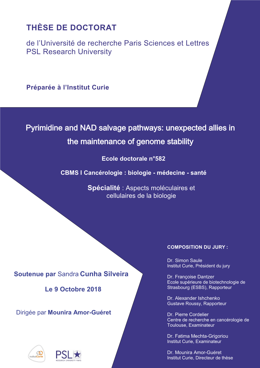 Pyrimidine and NAD Salvage Pathways: Unexpected Allies in the Maintenance of Genome Stability