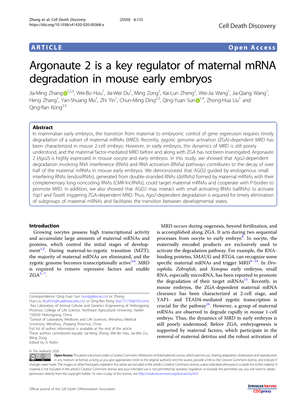 Argonaute 2 Is a Key Regulator of Maternal Mrna Degradation In