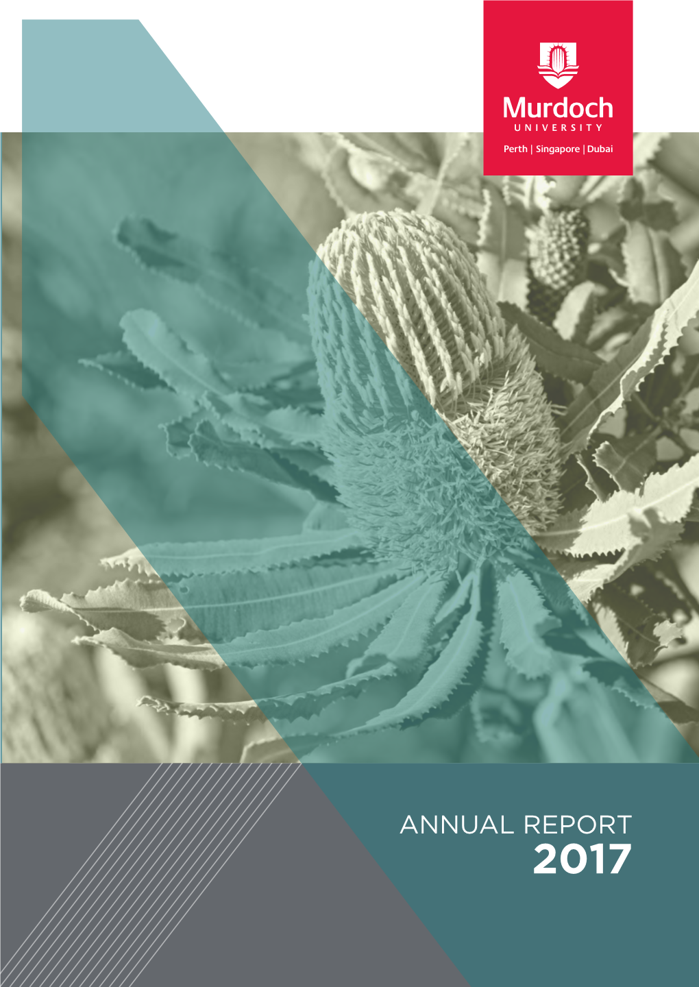 Annual Report 2017