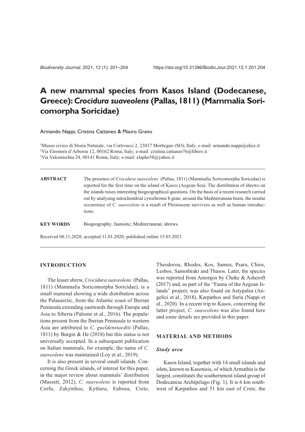 Crocidura Suaveolens (Pallas, 1811) (Mammalia Sori- Comorpha Soricidae)