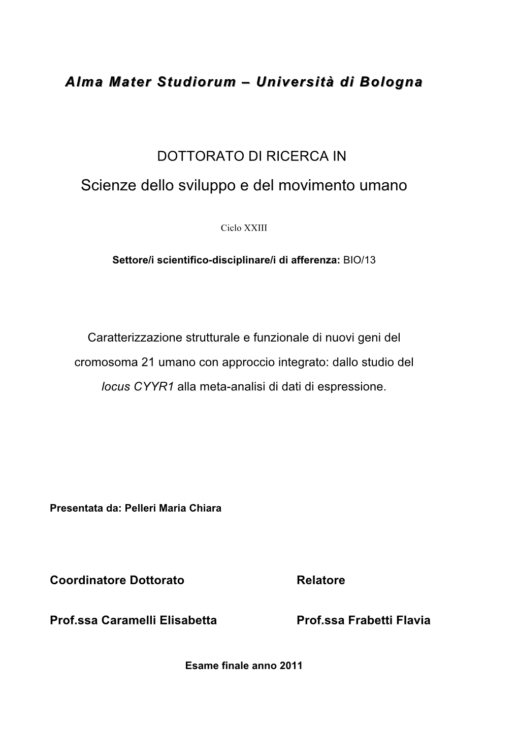 INTERNET Tesi Dottorato Maria Chiara DEFINITIVA