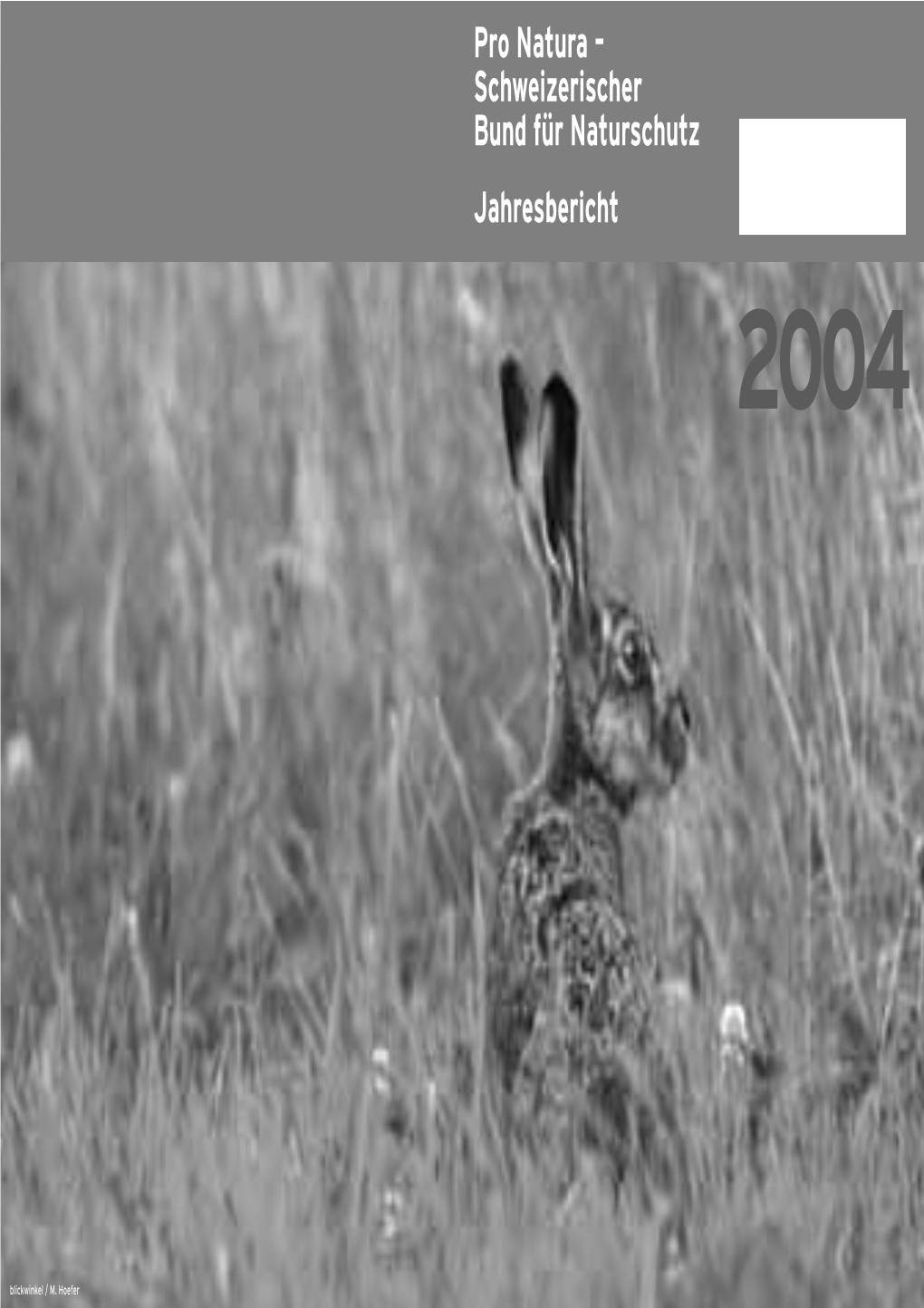 Pro Natura – Schweizerischer Bund Für Naturschutz Jahresbericht 2004