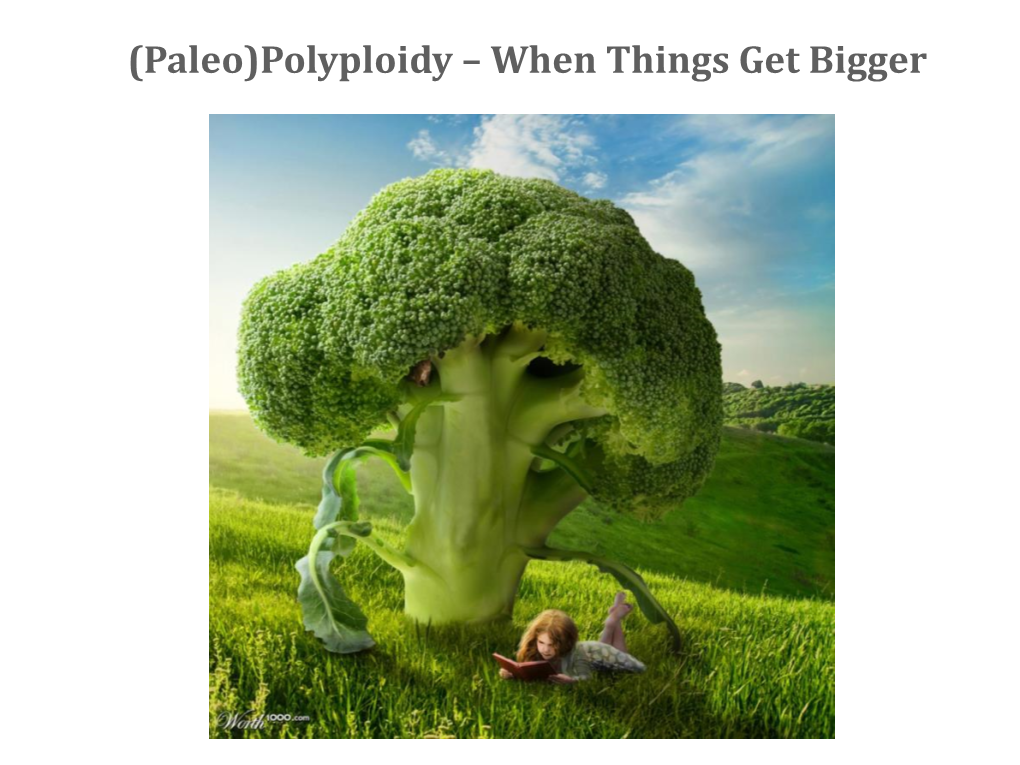 (Paleo)Polyploidy – When Things Get Bigger Whole-Genome Duplications