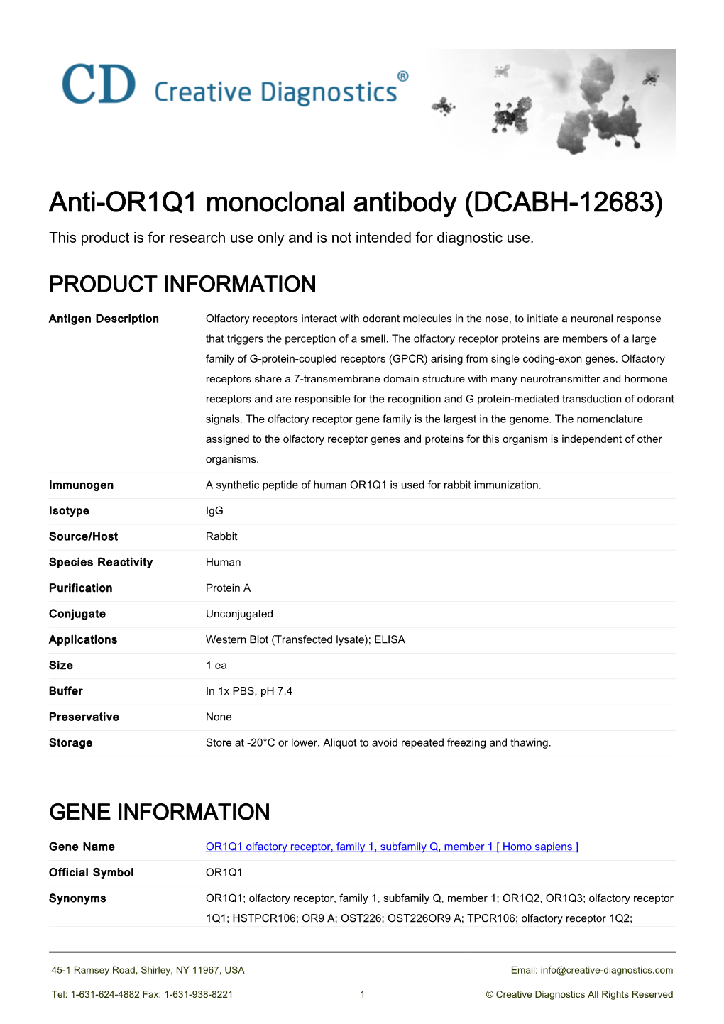 Anti-OR1Q1 Monoclonal Antibody (DCABH-12683) This Product Is for Research Use Only and Is Not Intended for Diagnostic Use