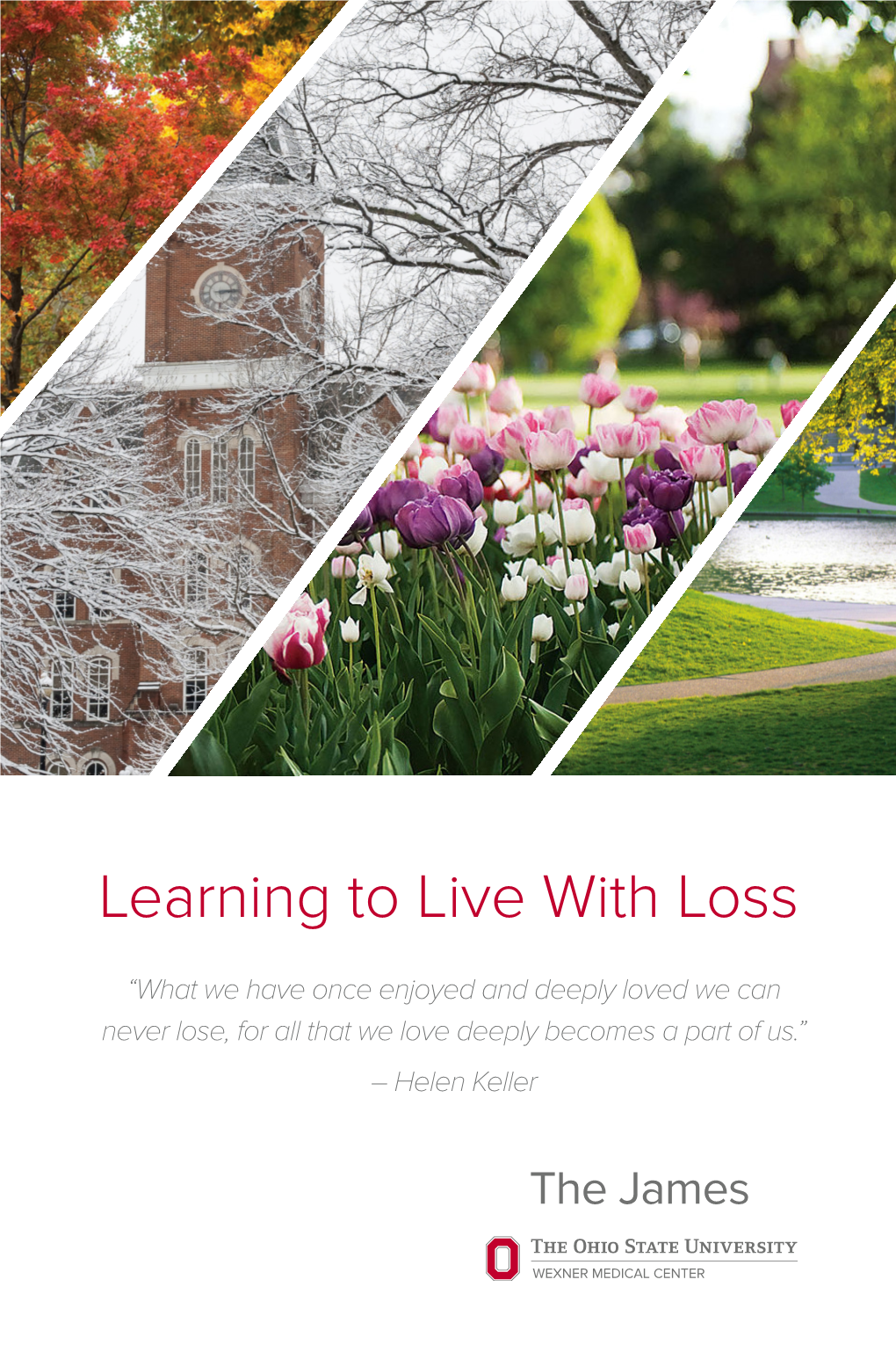 Grief Booklet: "Learning to Live with Loss"