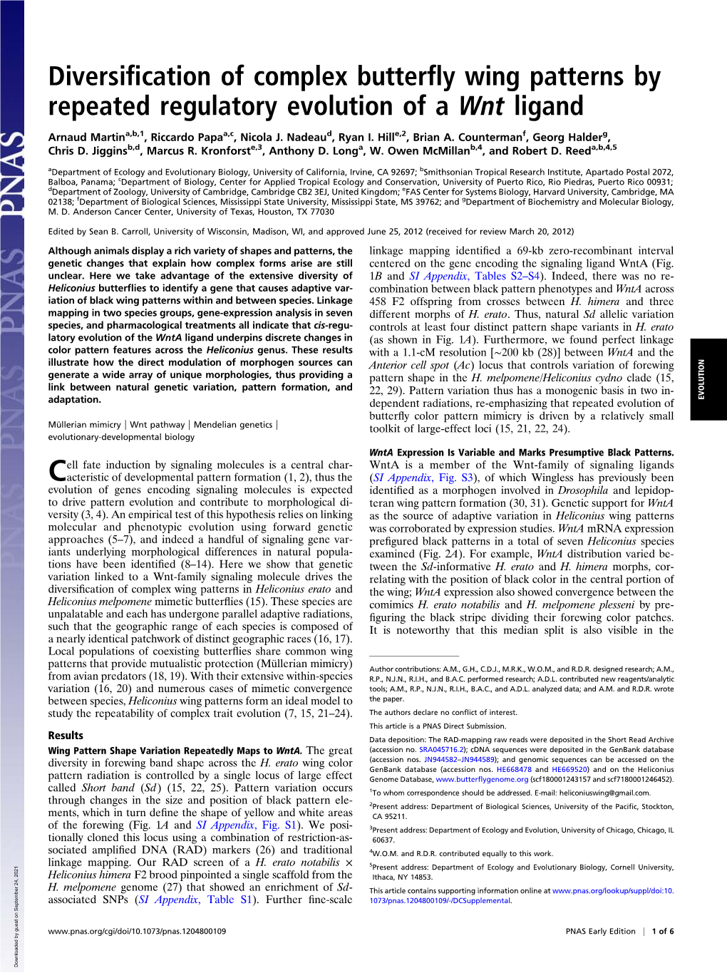 Diversification of Complex Butterfly Wing Patterns by Repeated