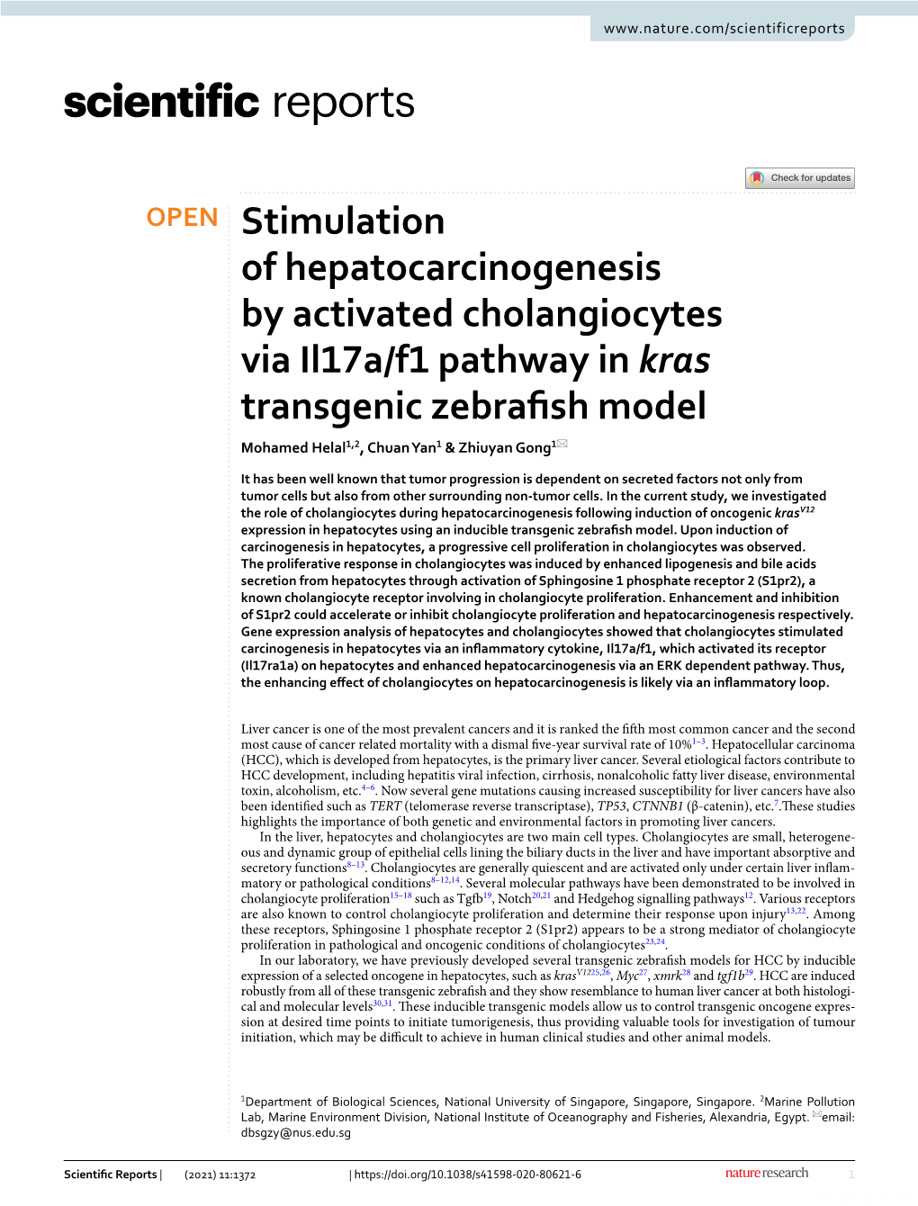 Stimulation of Hepatocarcinogenesis by Activated Cholangiocytes Via Il17a/F1 Pathway in Kras Transgenic Zebrafsh Model Mohamed Helal1,2, Chuan Yan1 & Zhiuyan Gong1*