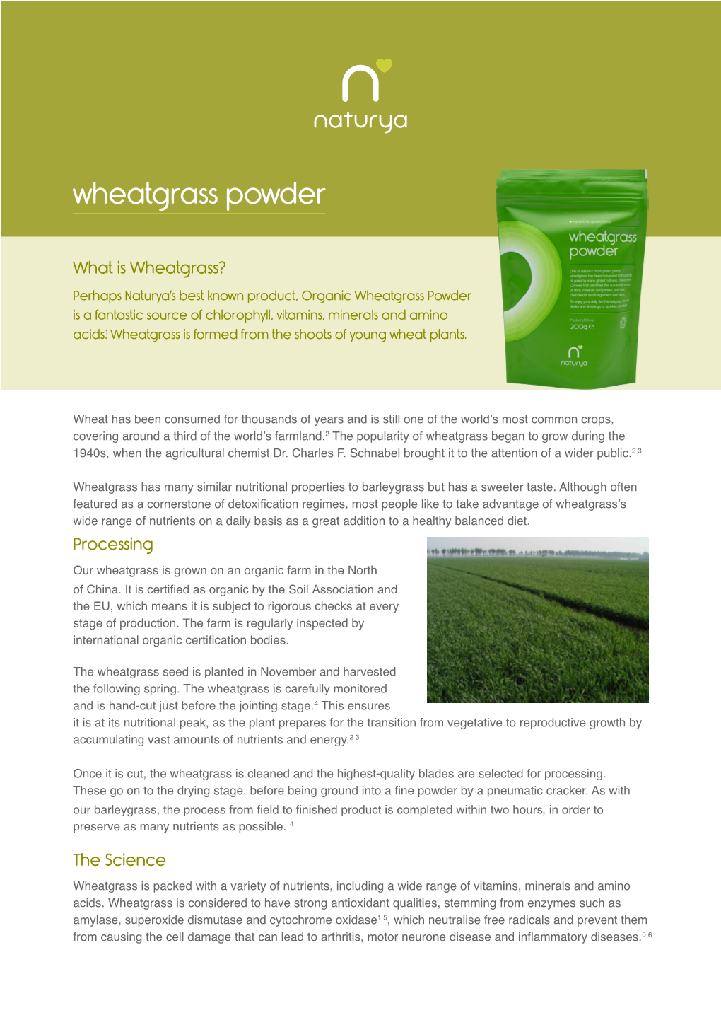 Wheatgrass Powder