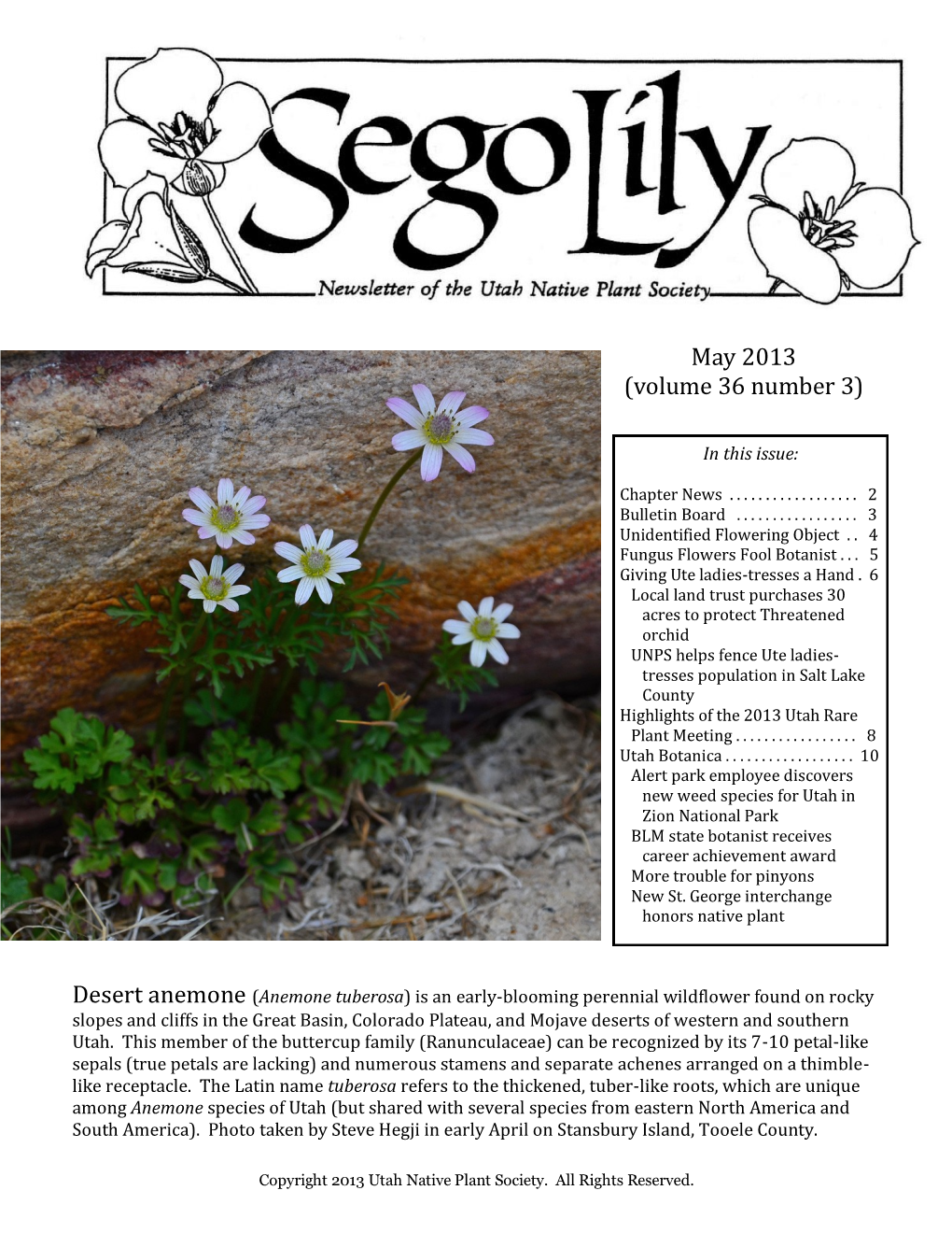 May 2013 (Volume 36 Number 3)