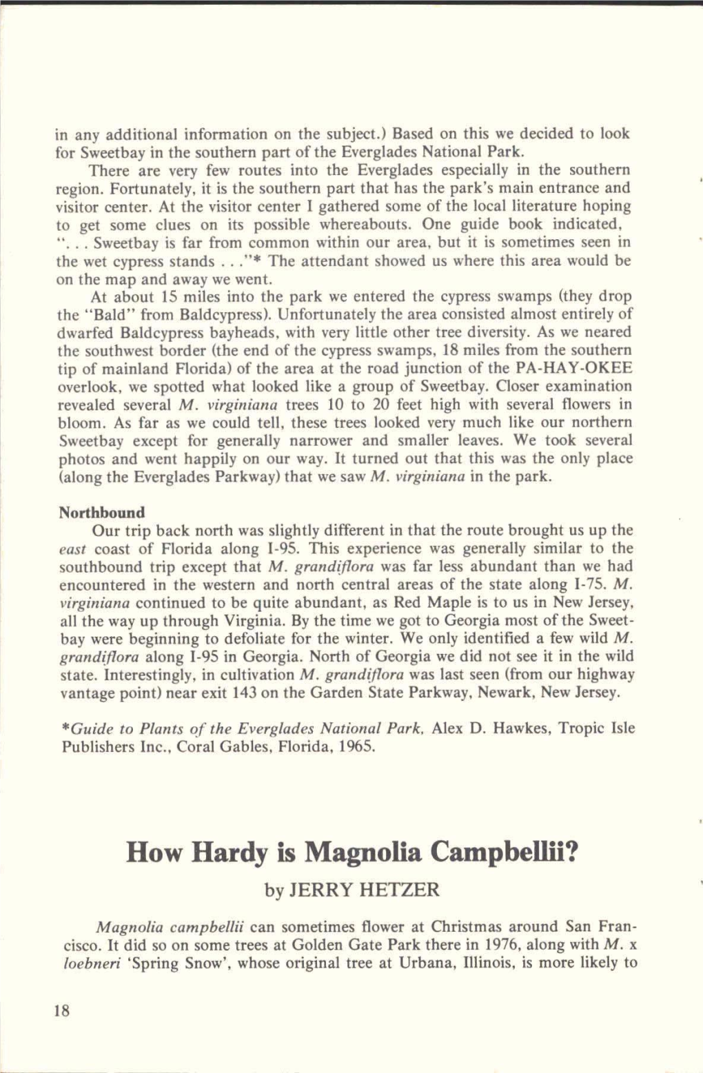 How Hardy Is Magnolia Campbellii