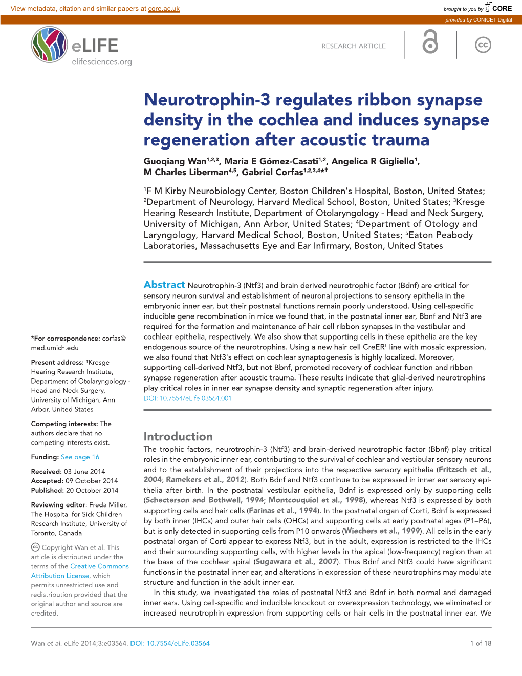 Neurotrophin-3 Regulates Ribbon Synapse Density in the Cochlea And