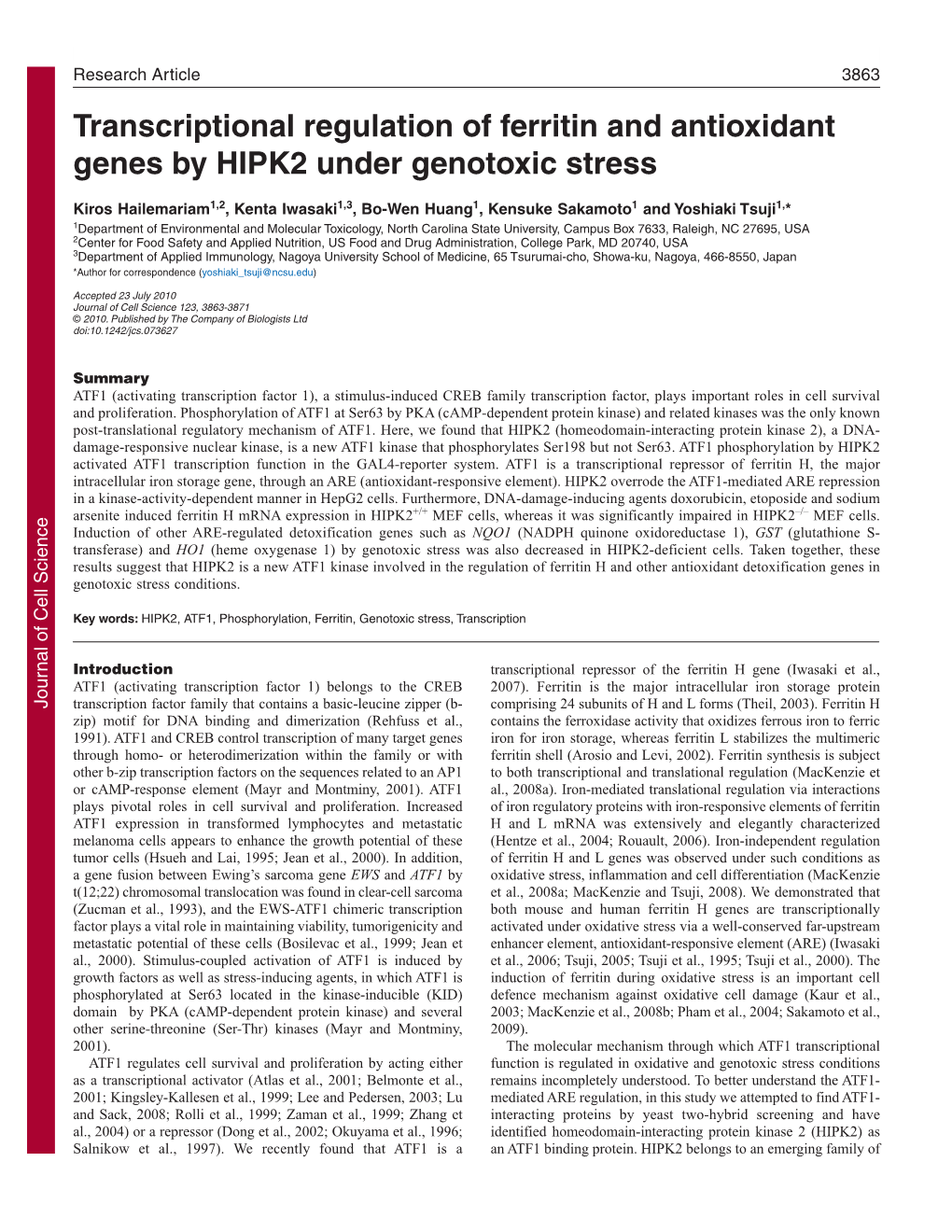 Transcriptional Regulation of Ferritin and Antioxidant Genes by HIPK2 Under Genotoxic Stress