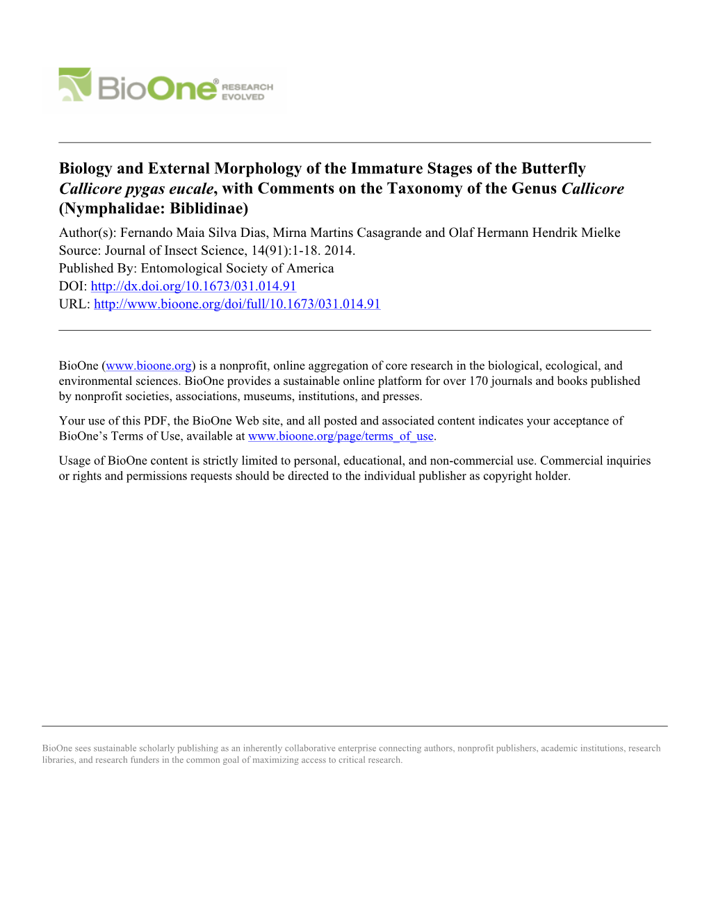 Biology and External Morphology of the Immature Stages of the Butterfly