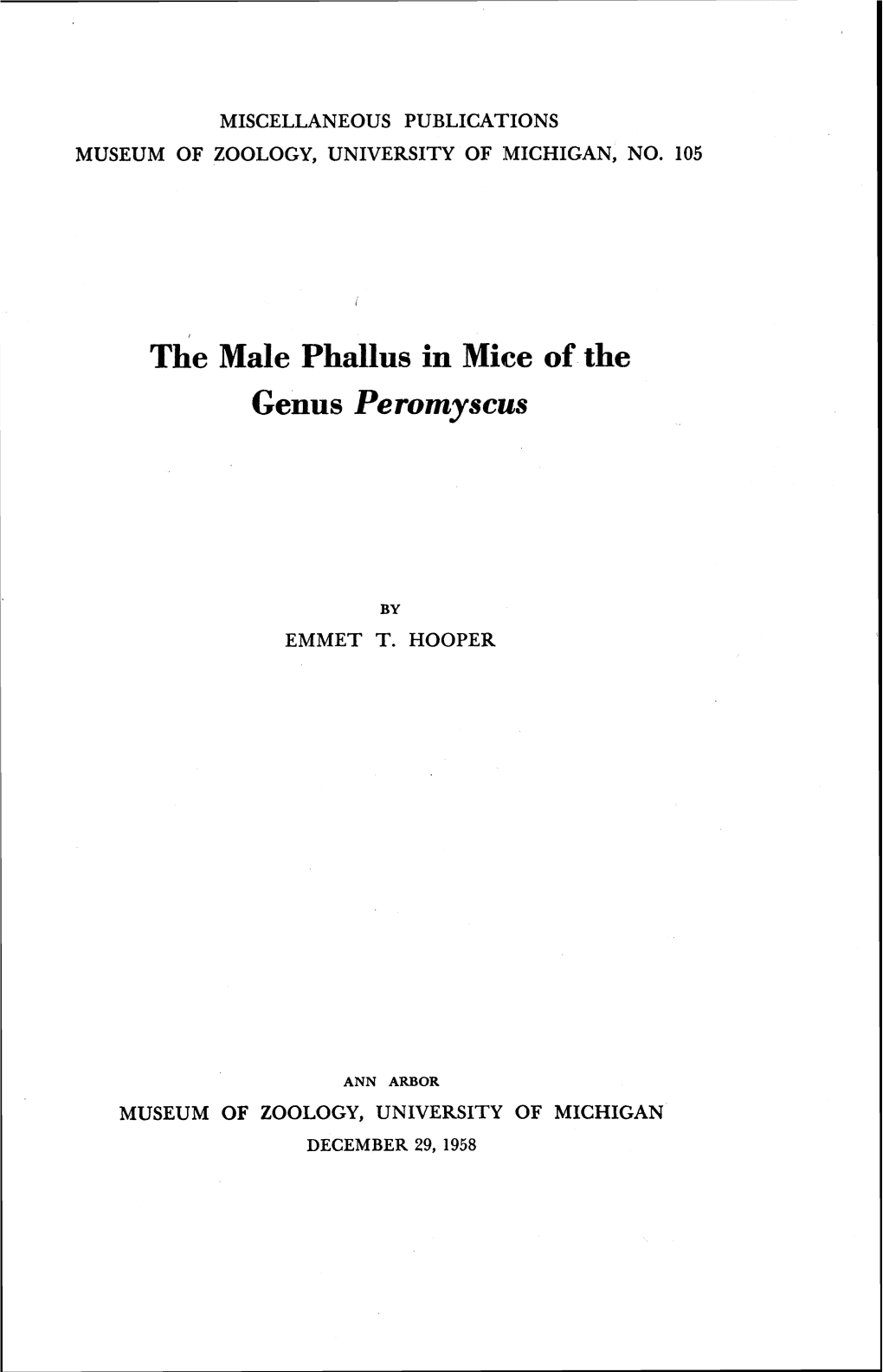 The Male Phallus in Mice of the Genus Peromyscus