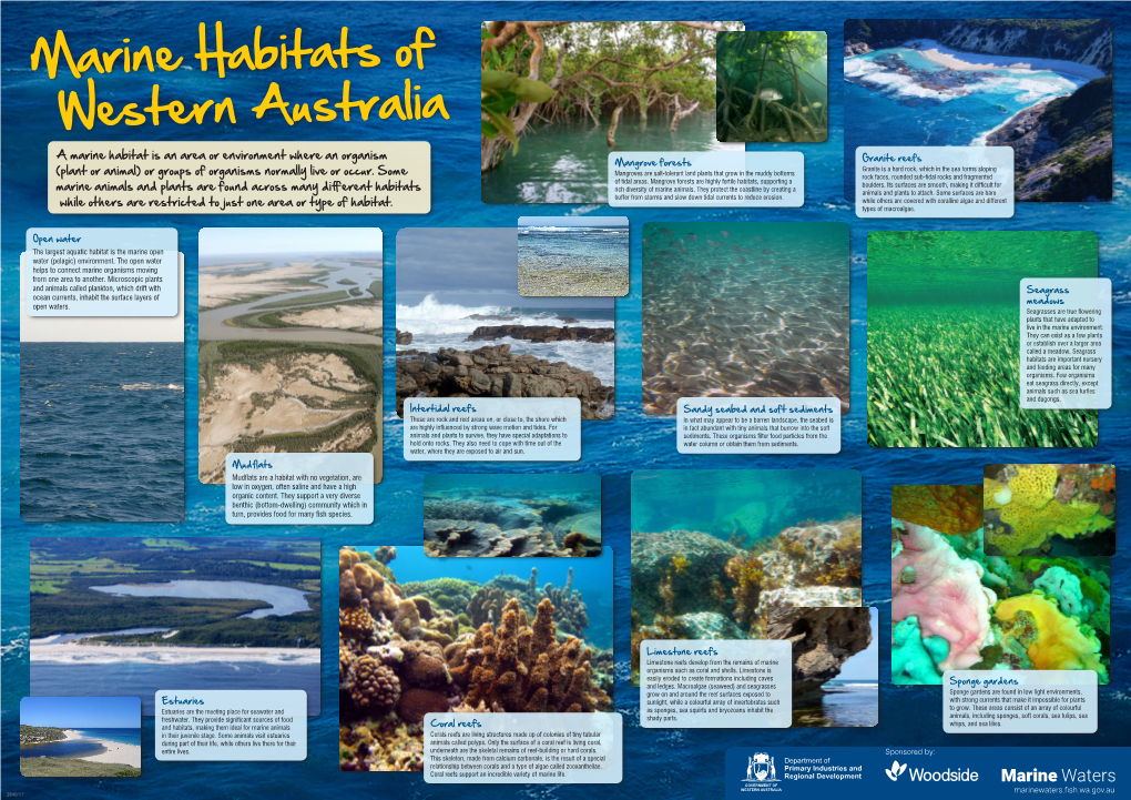 Marine Habitats of Western Australia