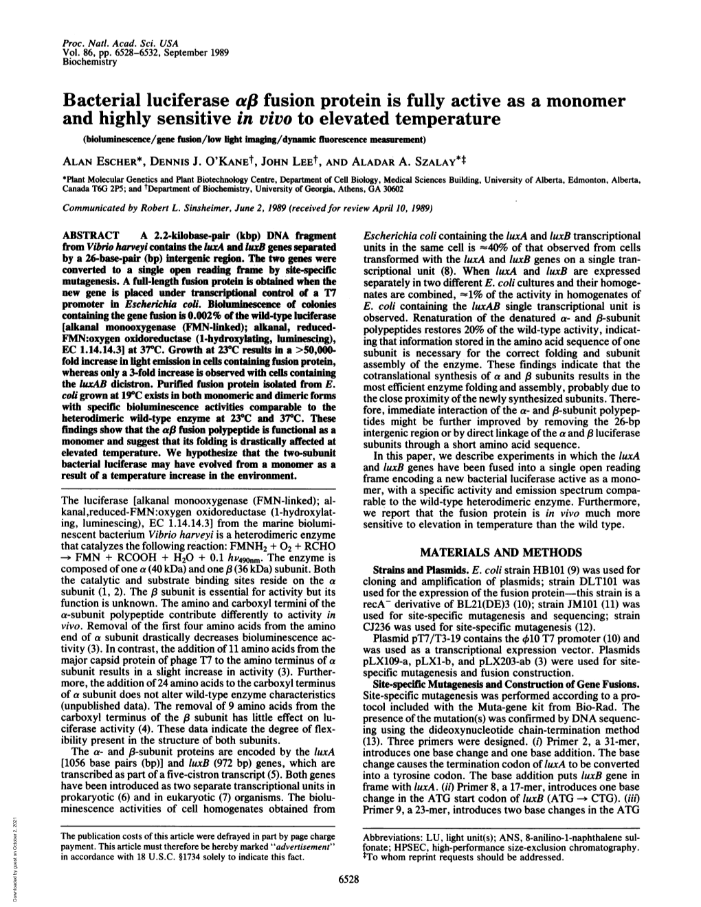 Bacterial Luciferase A13 Fusion Protein Is Fully Active As a Monomer