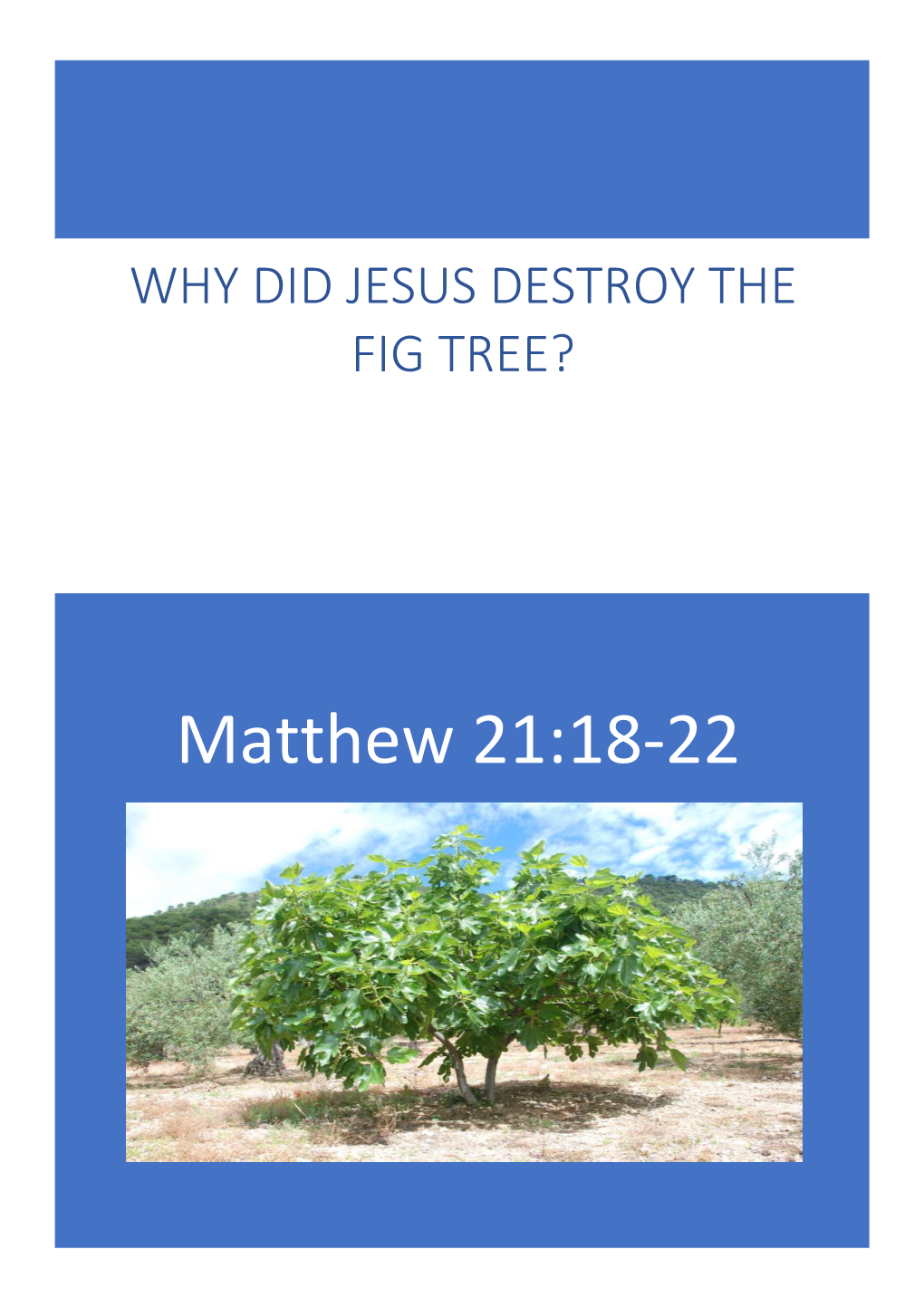 Why Did Jesus Destroy the Fig Tree?