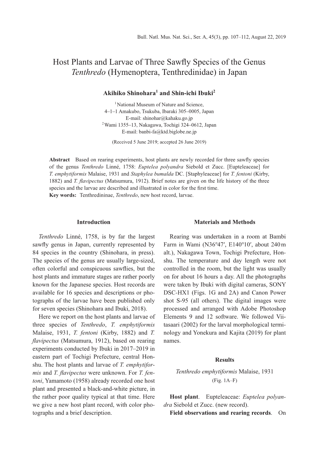 Host Plants and Larvae of Three Sawfly Species of the Genus