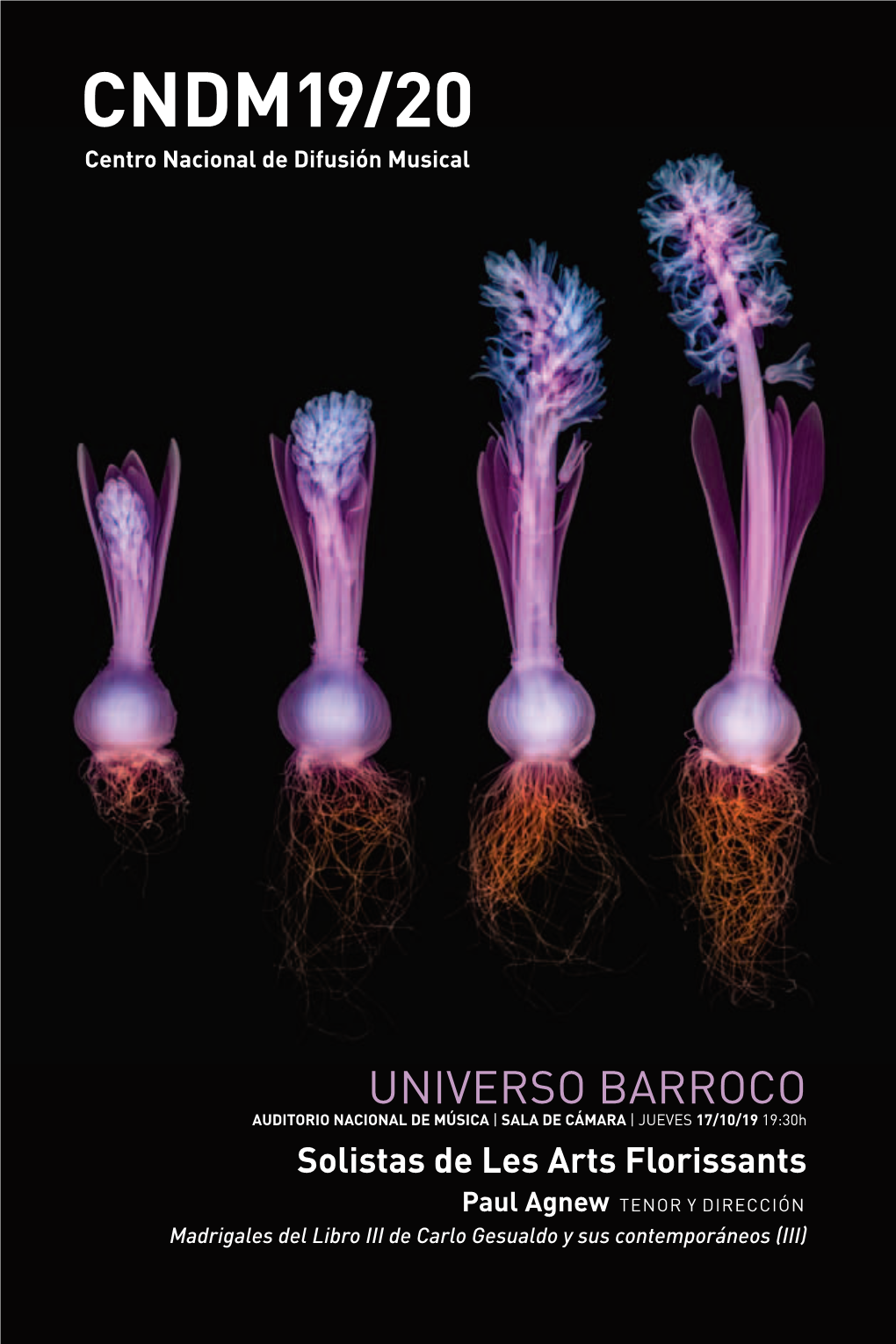 Universo Barroco