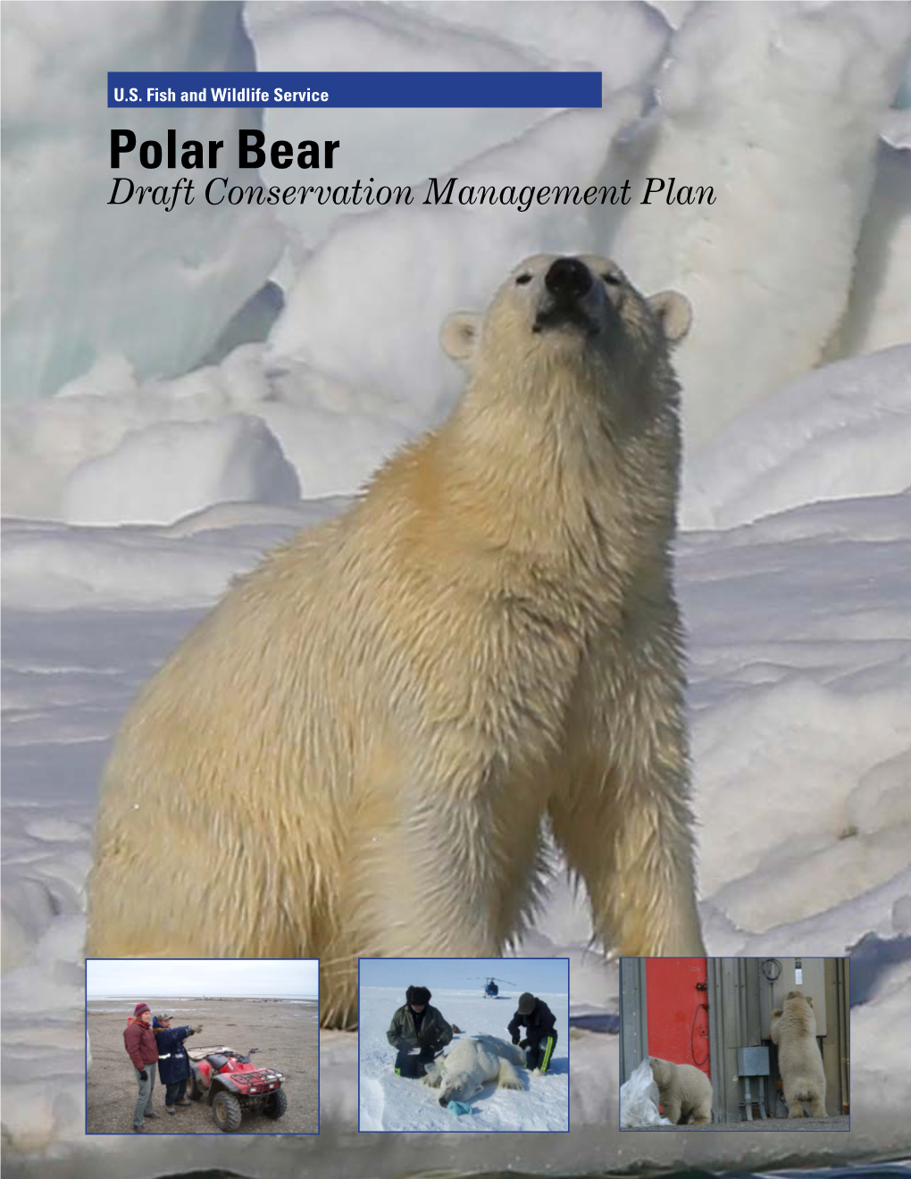 Polar Bear Draft Conservation Management Plan Disclaimer