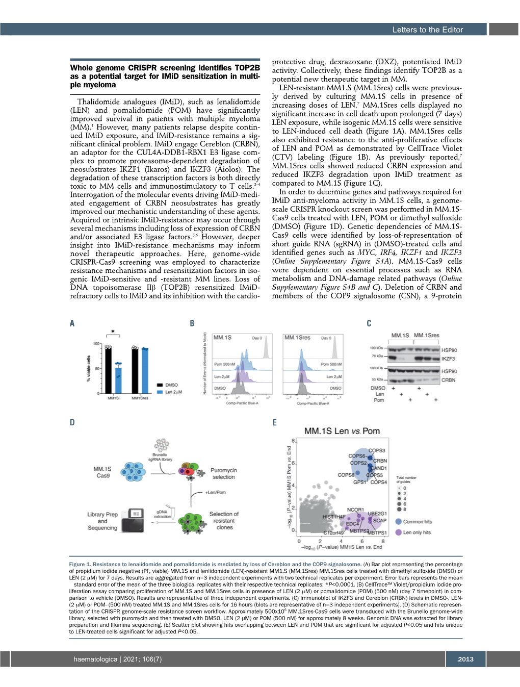 Whole Genome CRISPR Screening Identifies TOP2B As a Potential