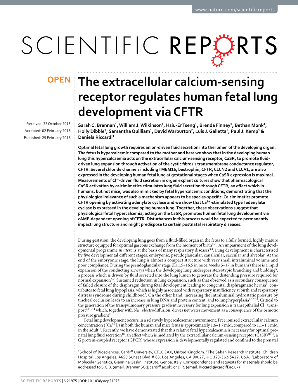 The Extracellular Calcium-Sensing Receptor Regulates Human Fetal Lung Development Via CFTR Received: 27 October 2015 Sarah C
