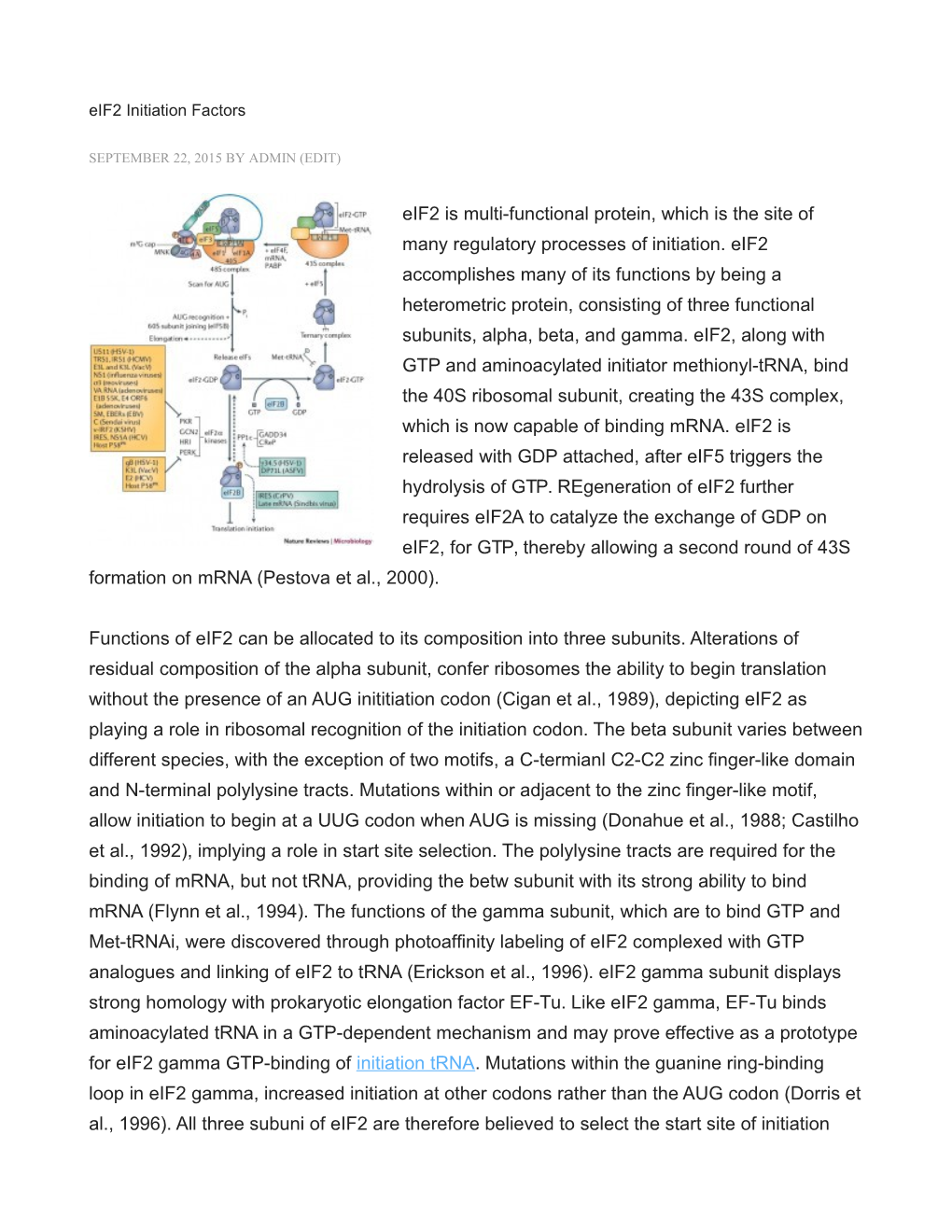 Eif2 Is Multi-Functional Protein, Which Is the Site of Many Regulatory Processes of Initiation